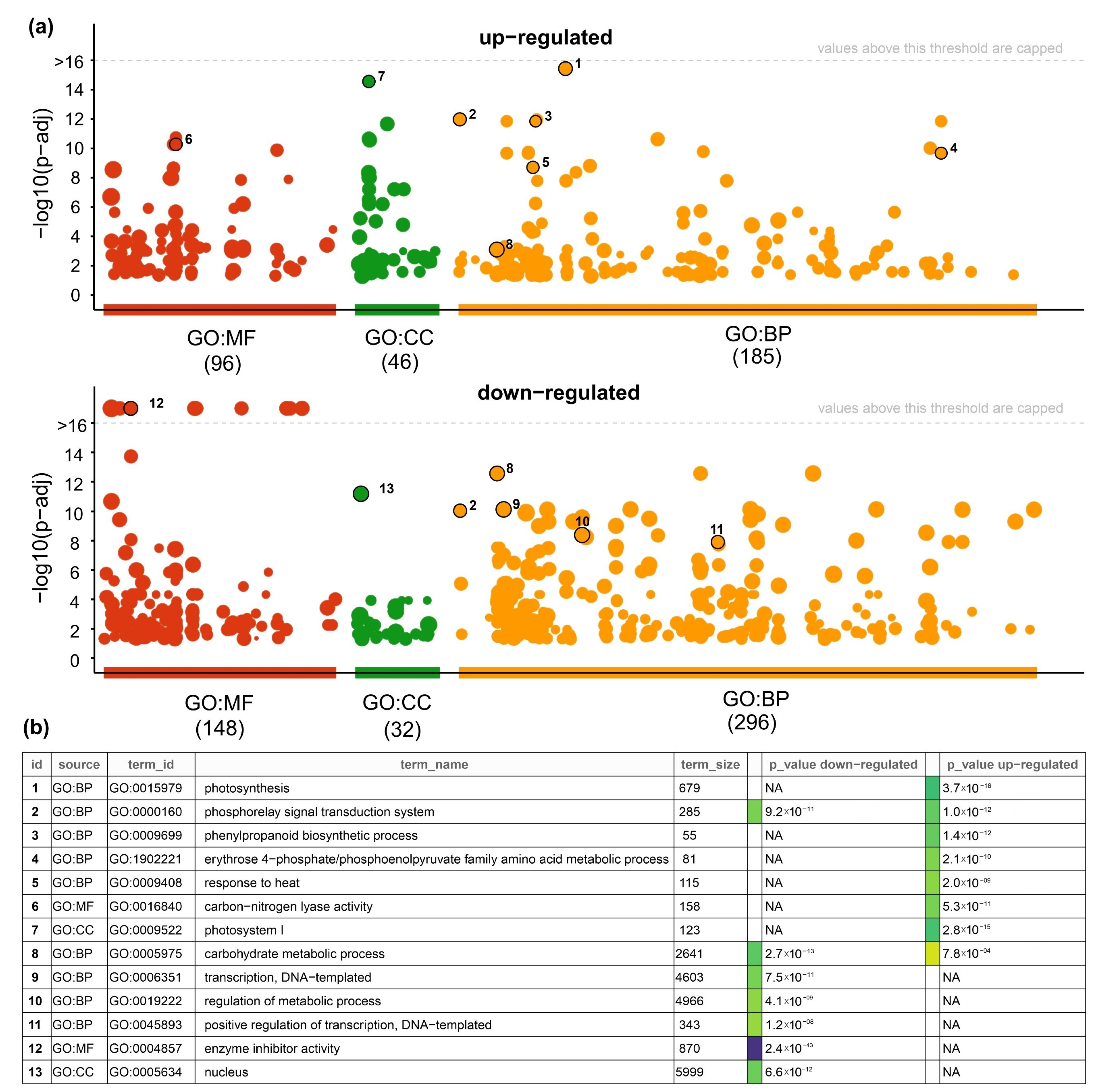 Plants 11 00059 g005