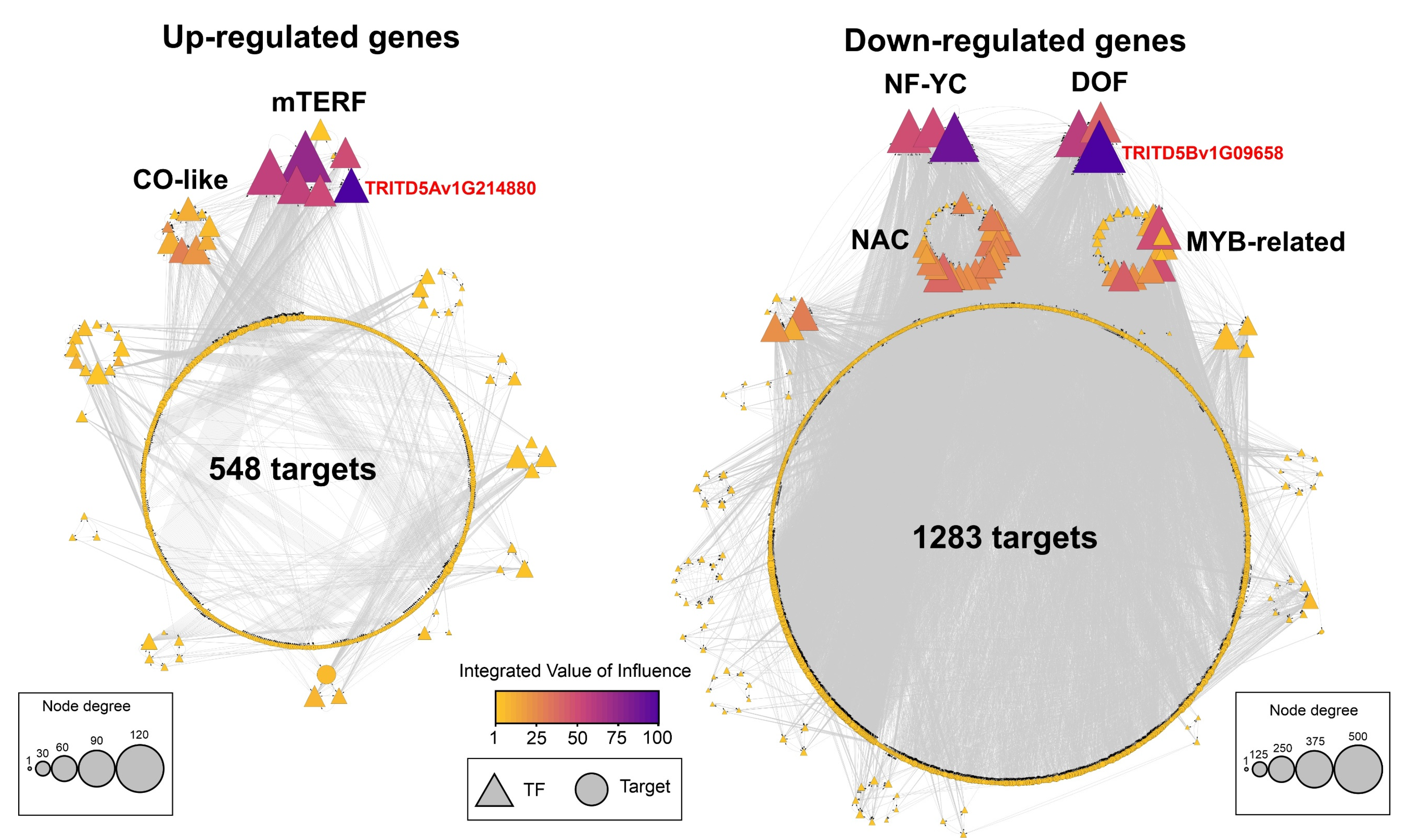 Plants 11 00059 g006