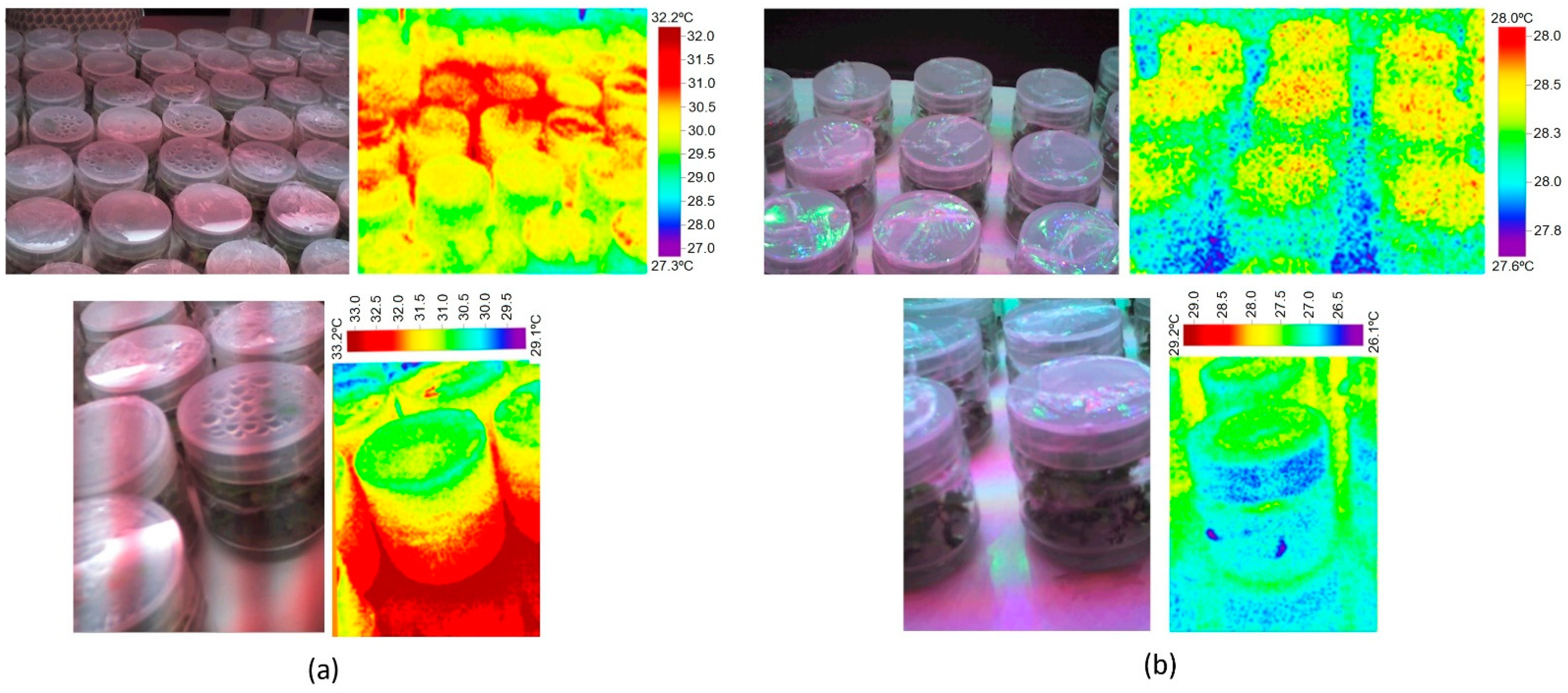 Plants 11 00060 g006