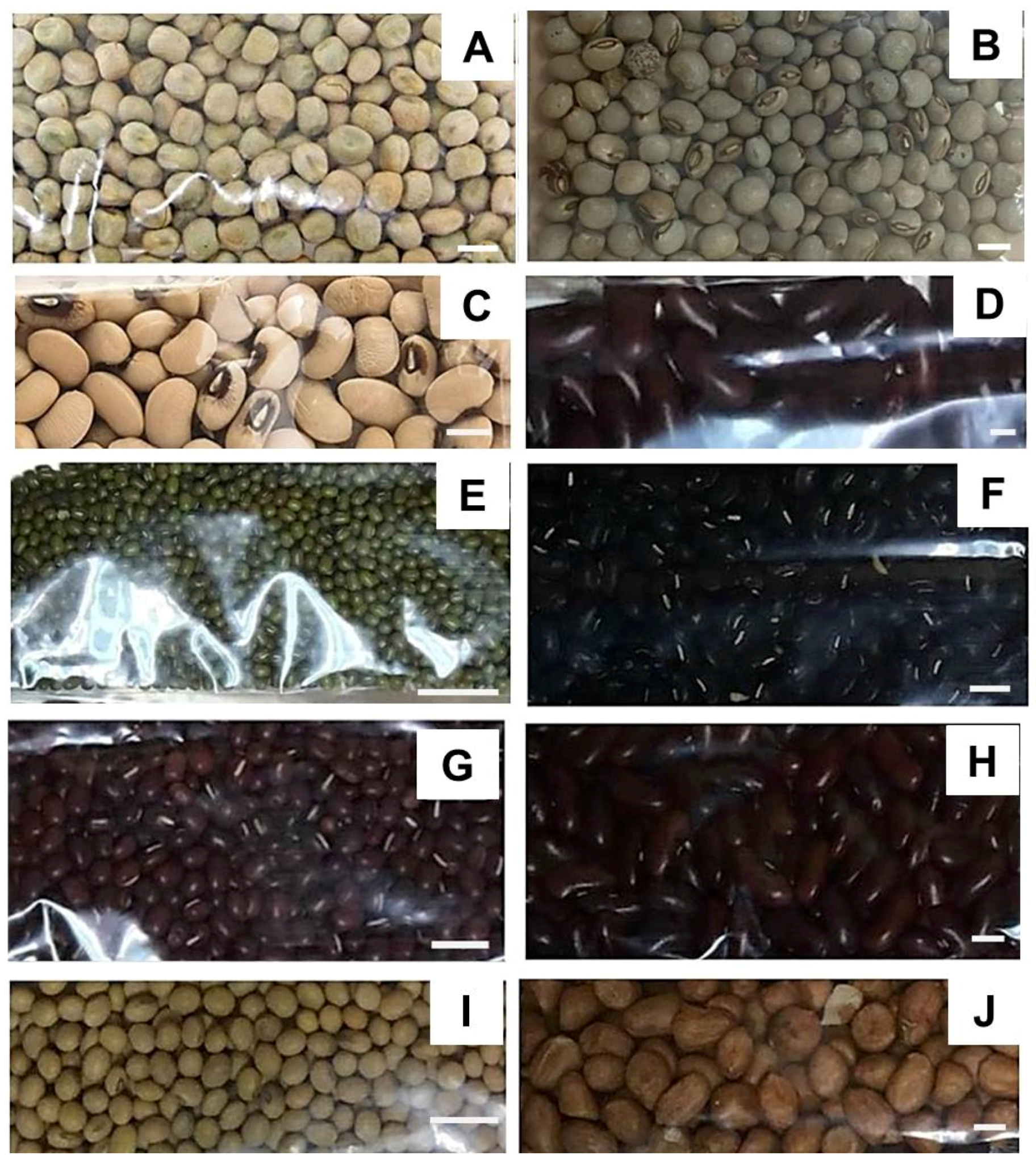 Plants 11 00067 g001 Plants 11 00067 g001