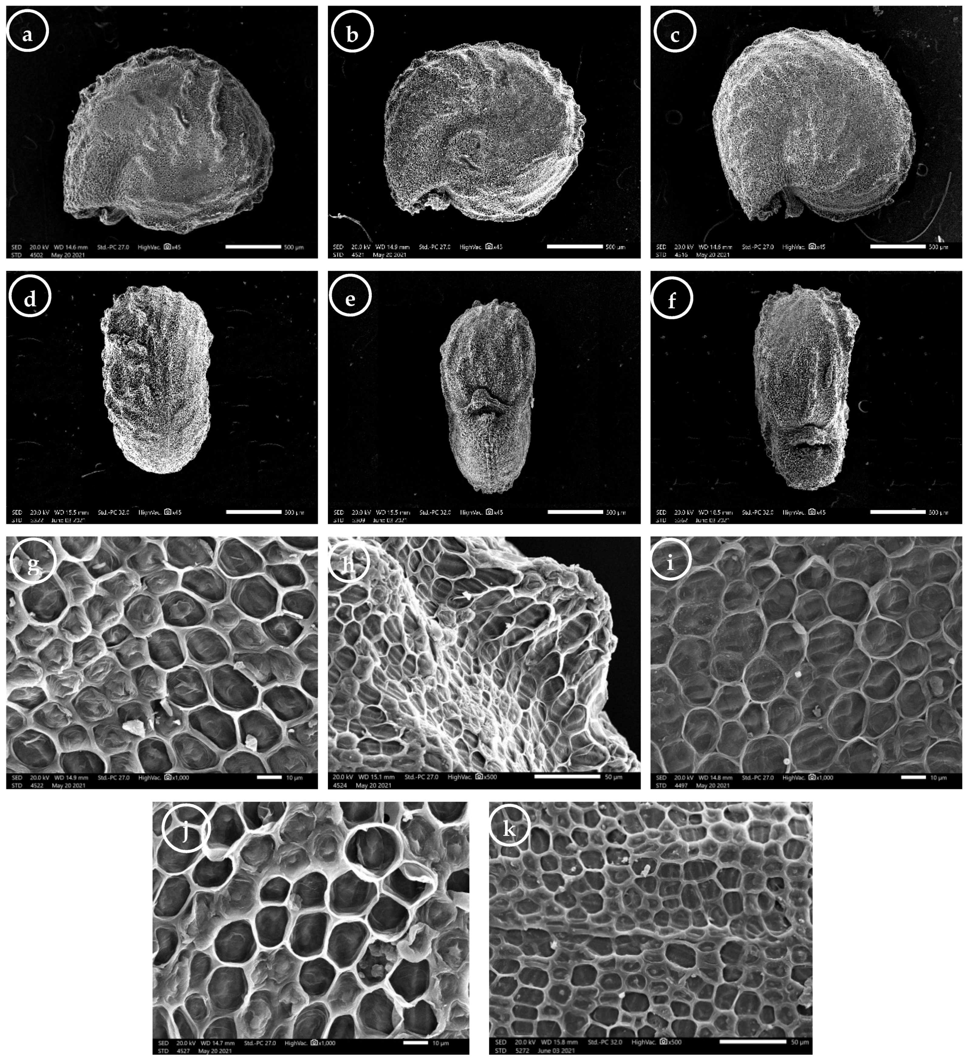 Plants 11 00077 g005 Plants 11 00077 g005