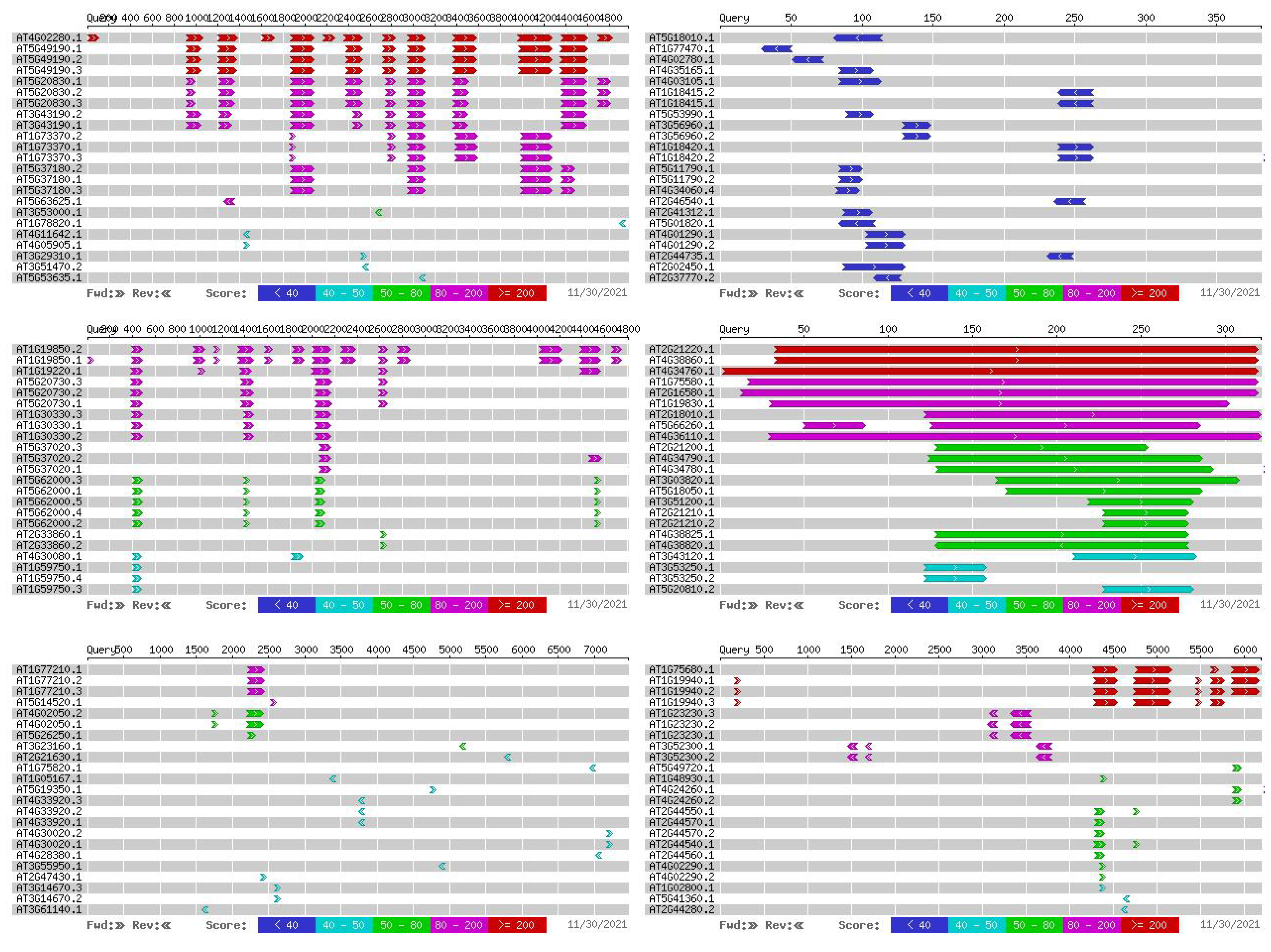 Plants 11 00097 g009