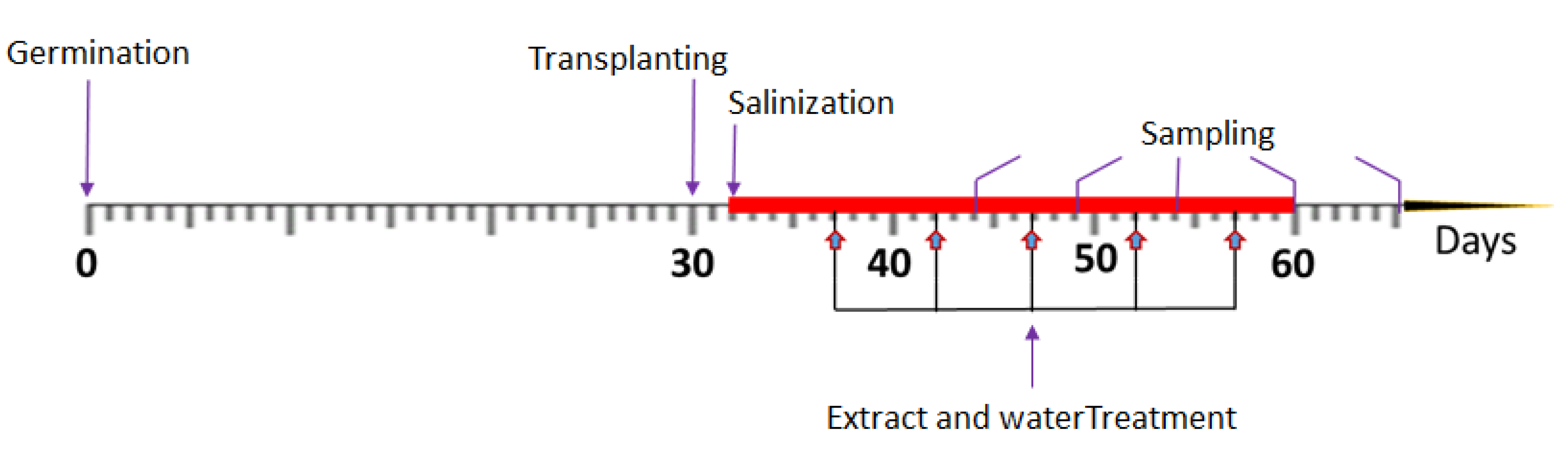 Plants 11 00104 g006 Plants 11 00104 g006
