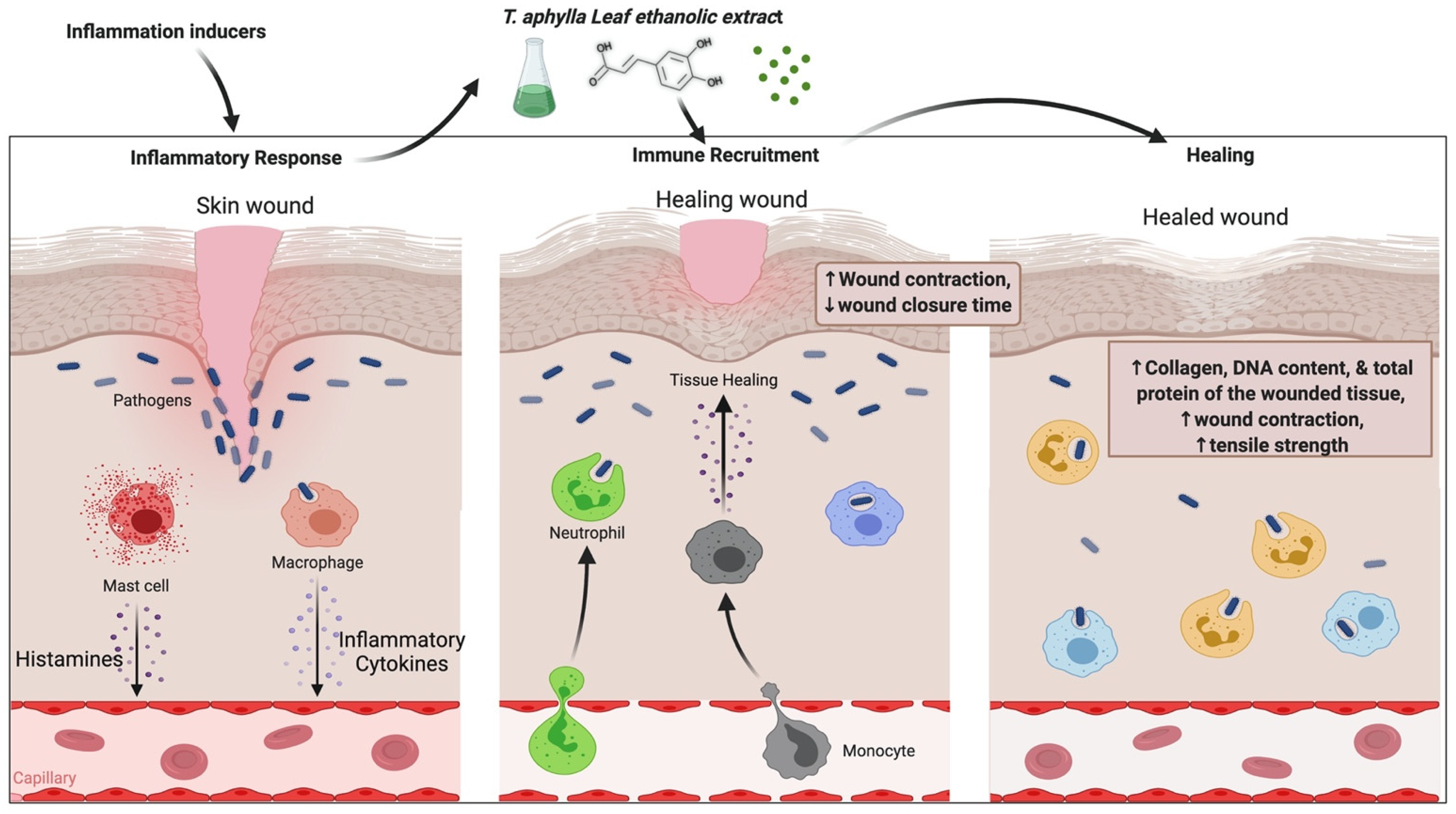 Plants 11 00118 g003 Plants 11 00118 g003