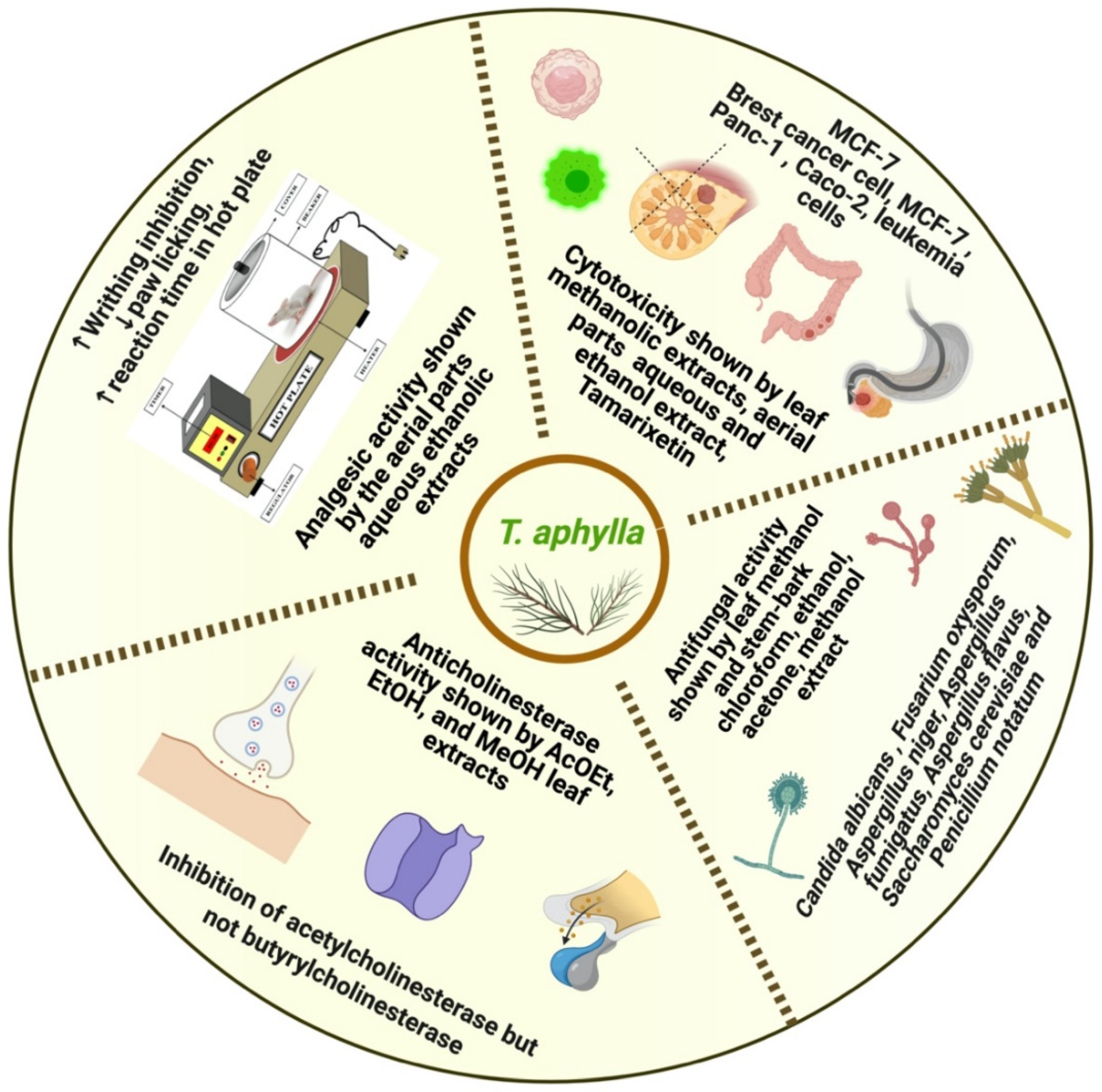 Plants 11 00118 g007 Plants 11 00118 g007