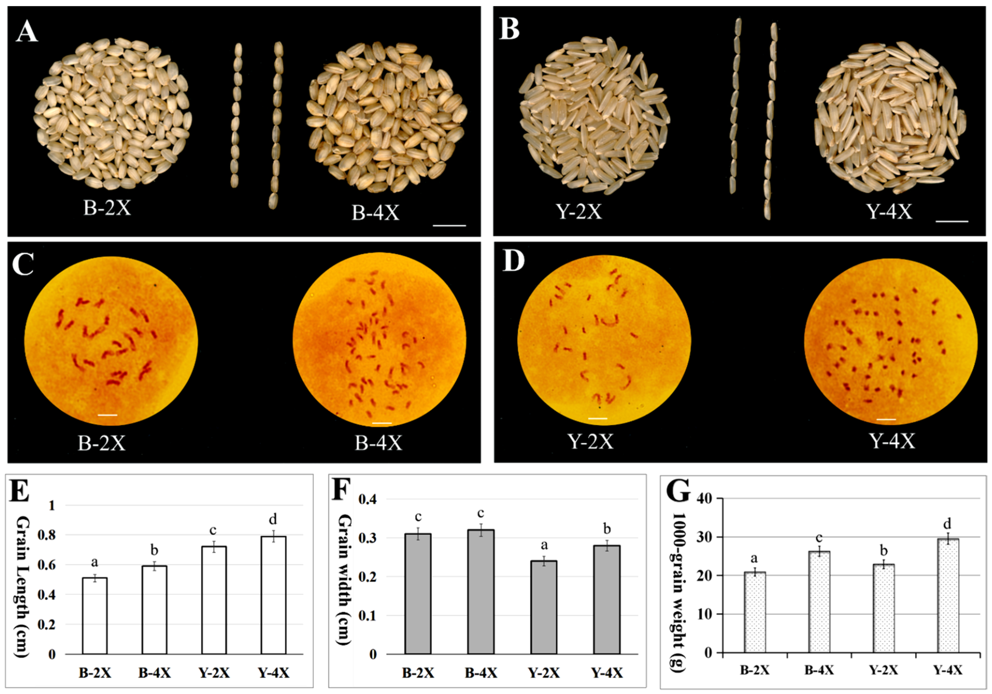 Plants 11 00132 g001 Plants 11 00132 g001