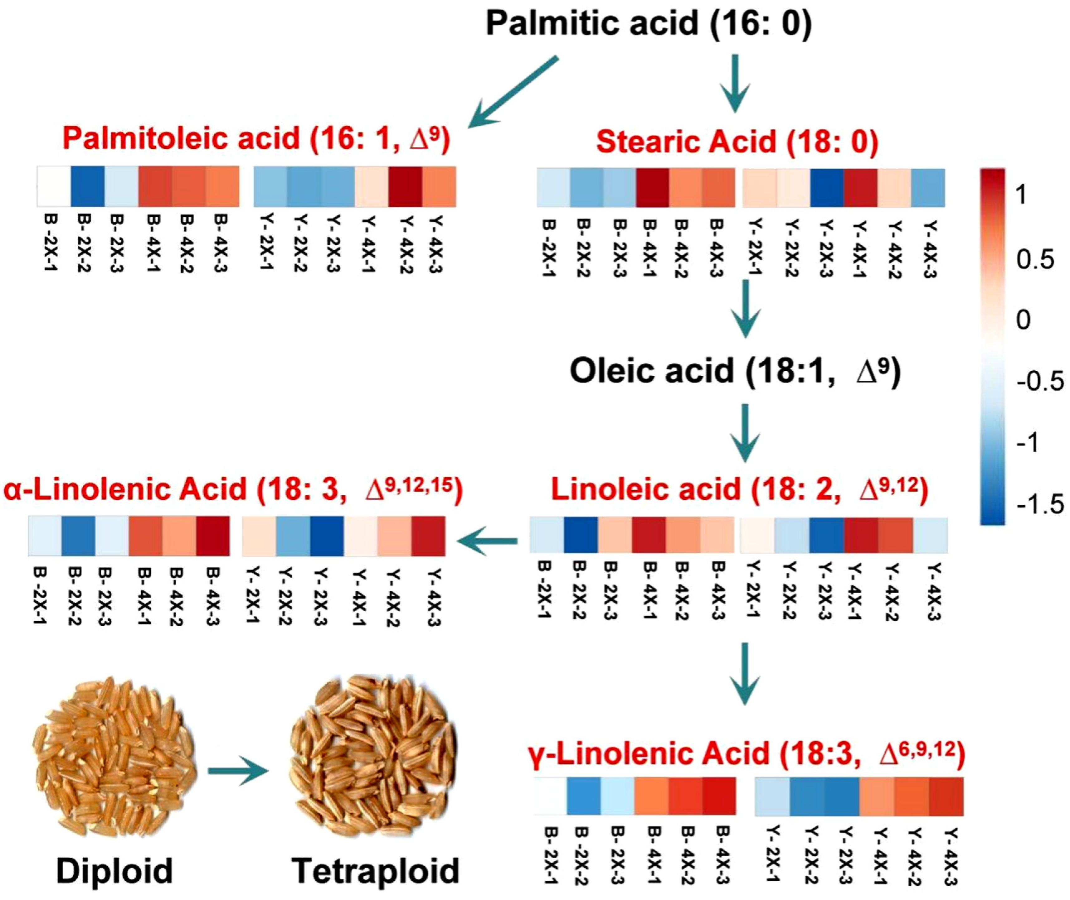 Plants 11 00132 g006 Plants 11 00132 g006