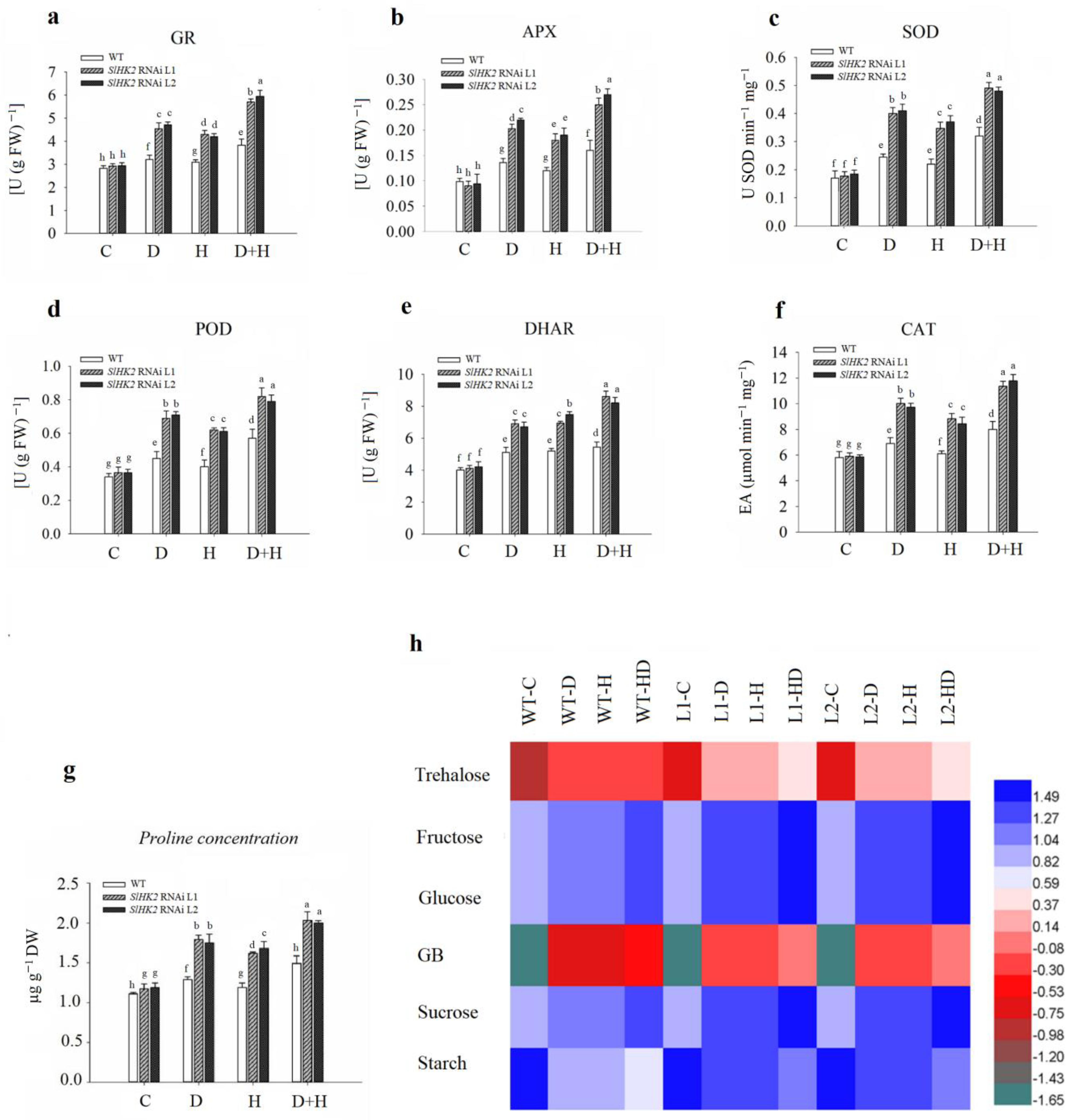 Plants 11 00154 g006