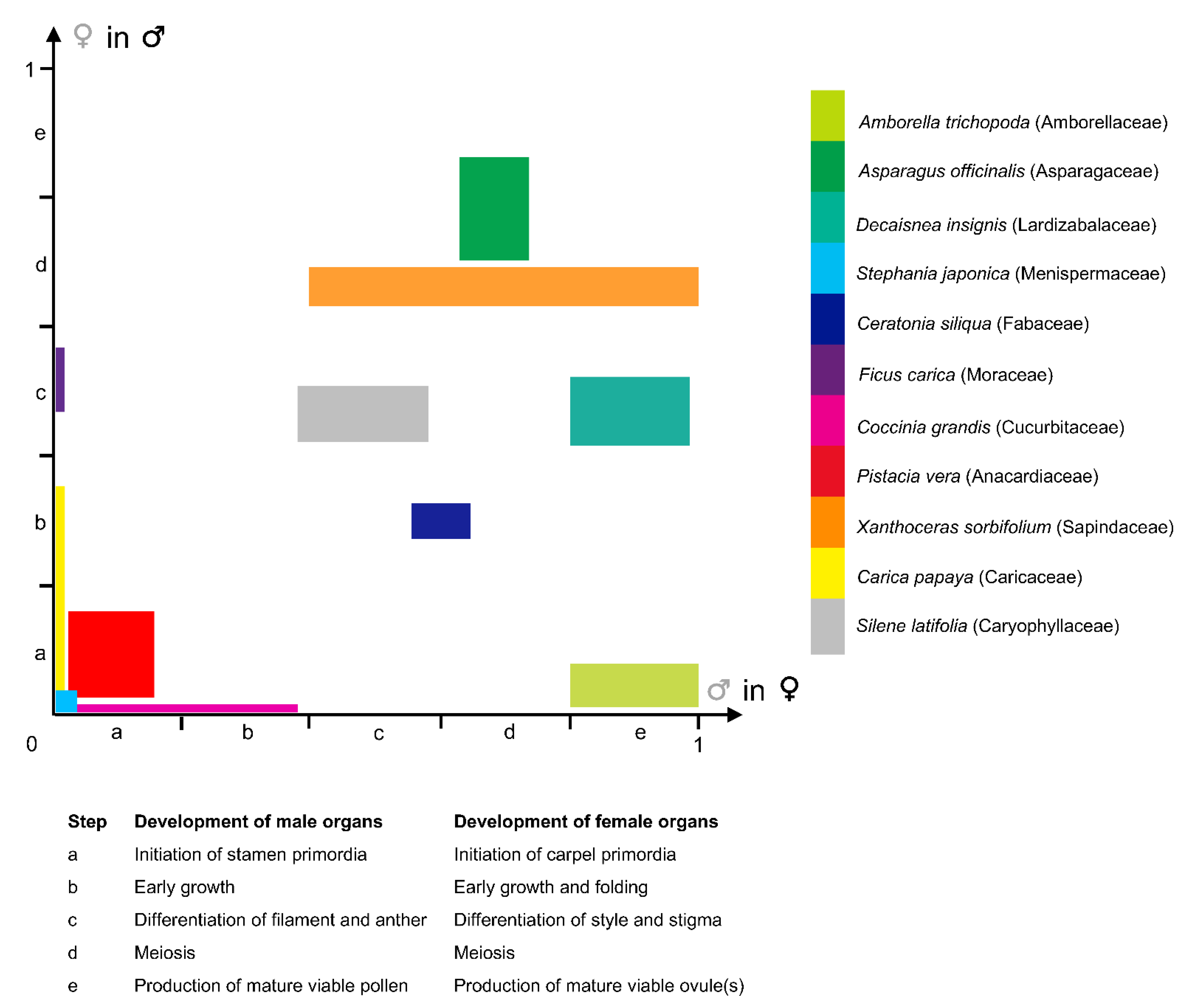 Plants 11 00155 g003