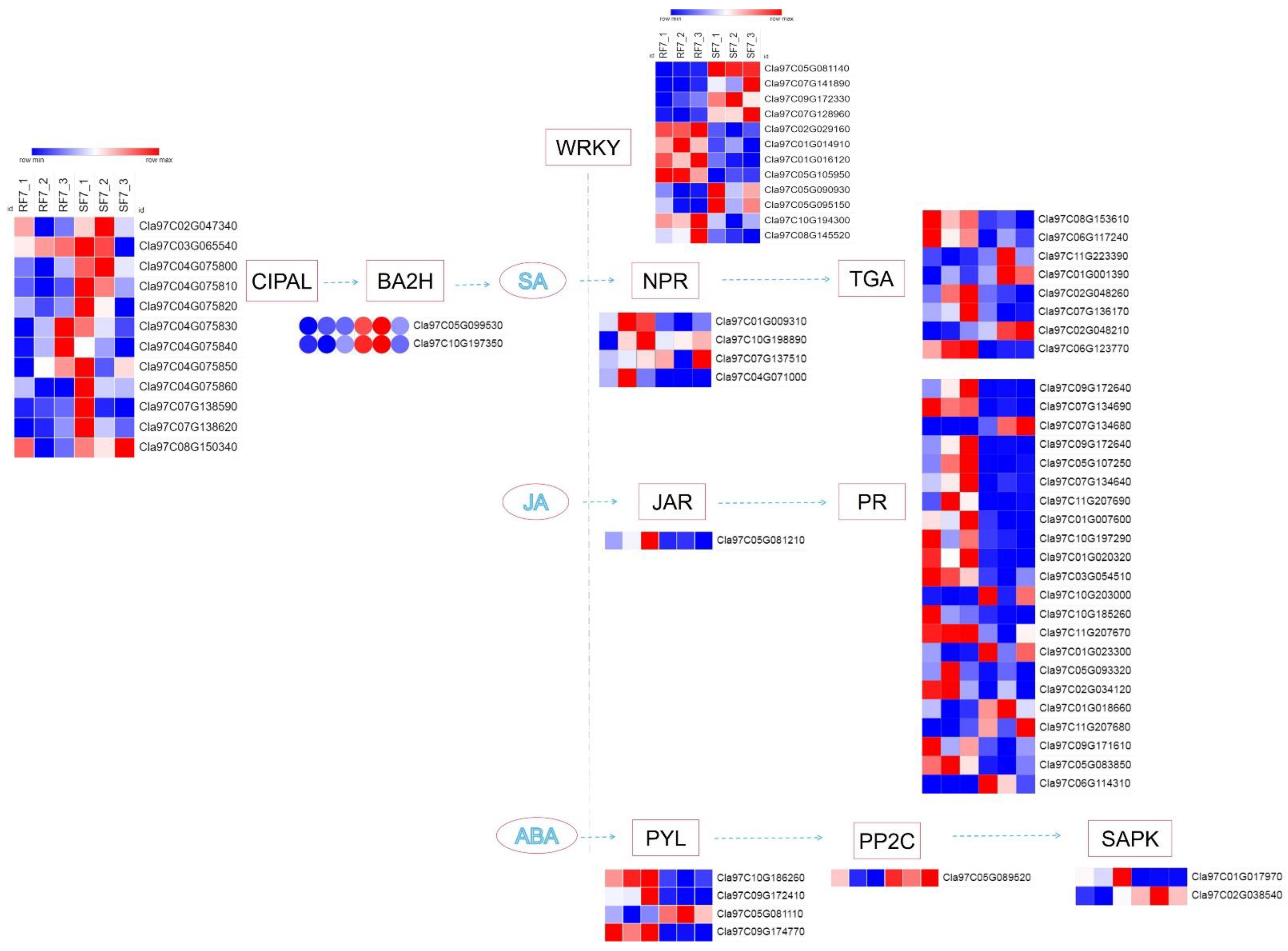 Plants 11 00156 g008