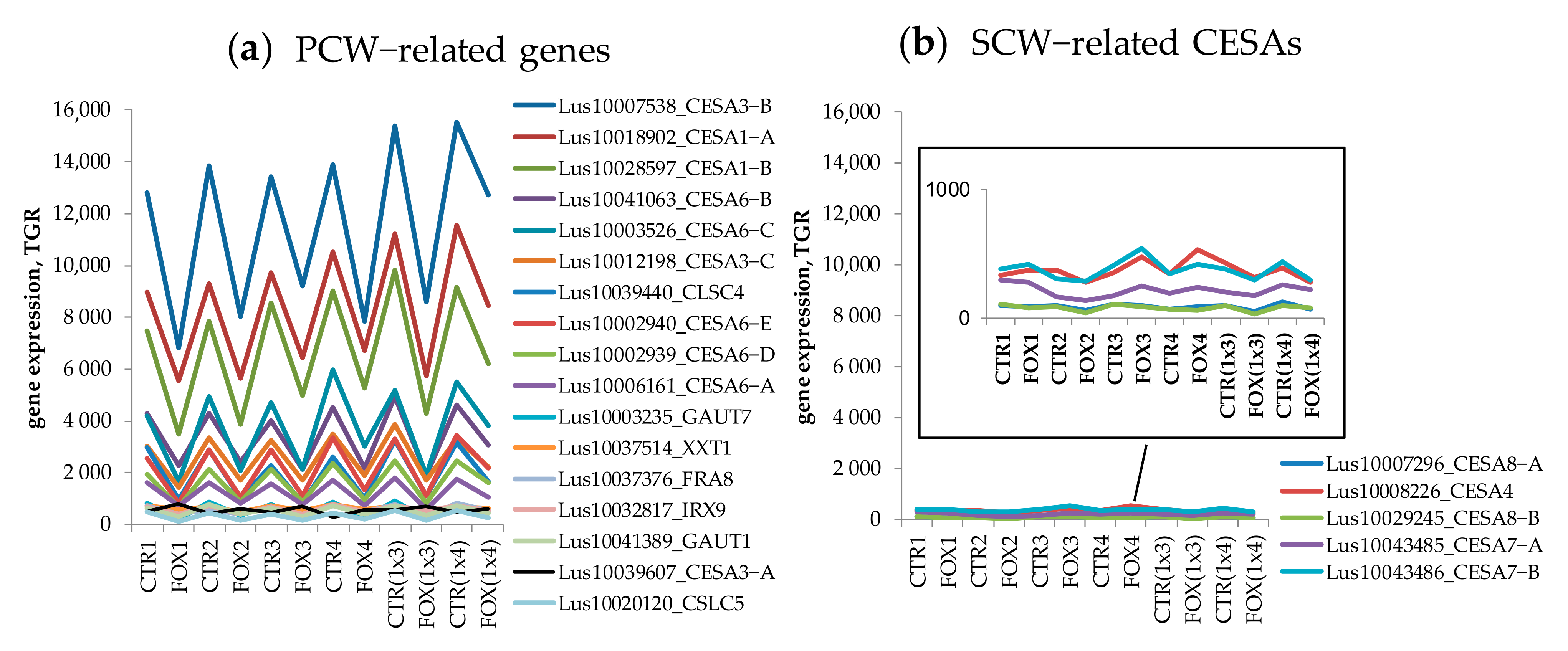 Plants 11 00163 g003