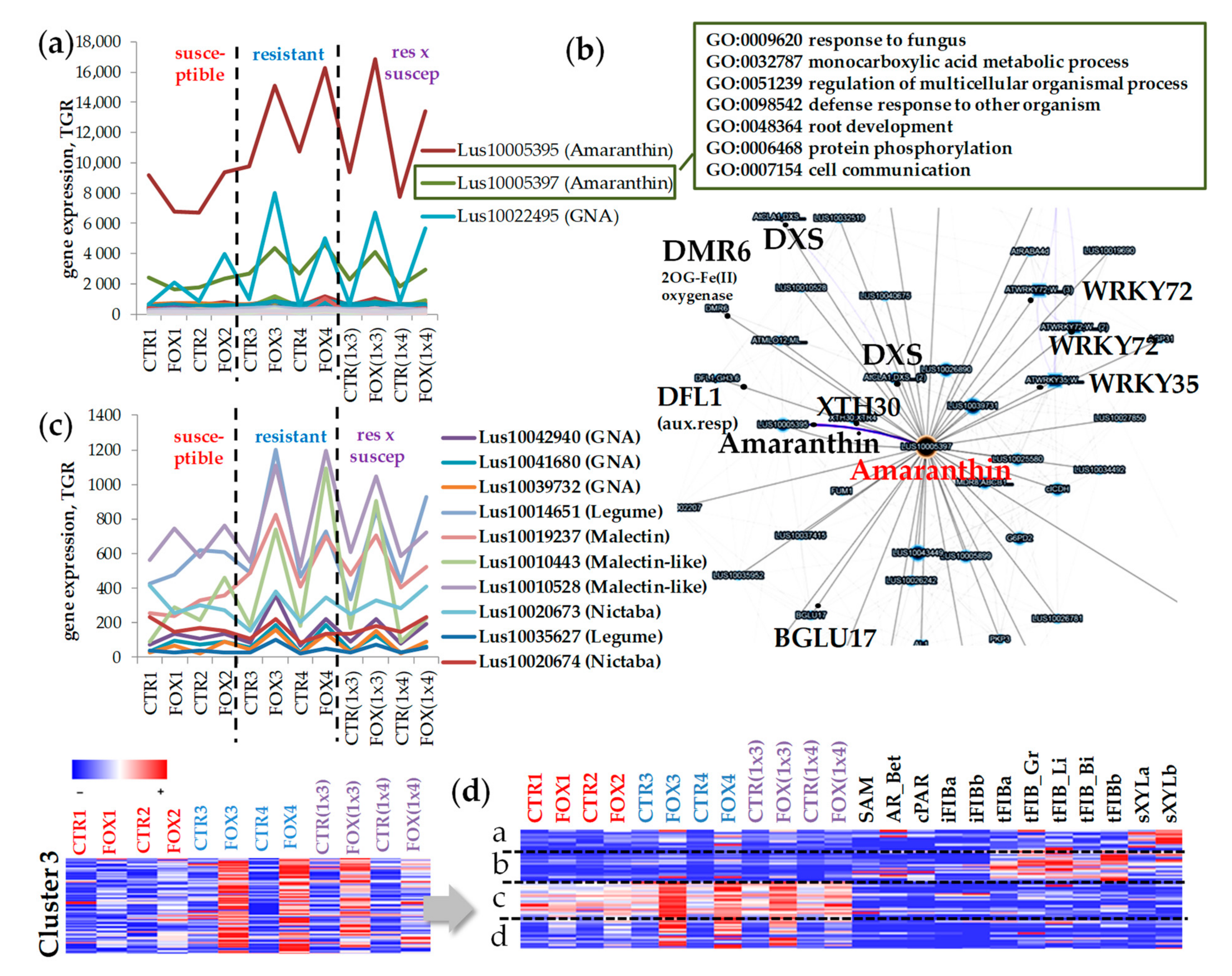 Plants 11 00163 g006