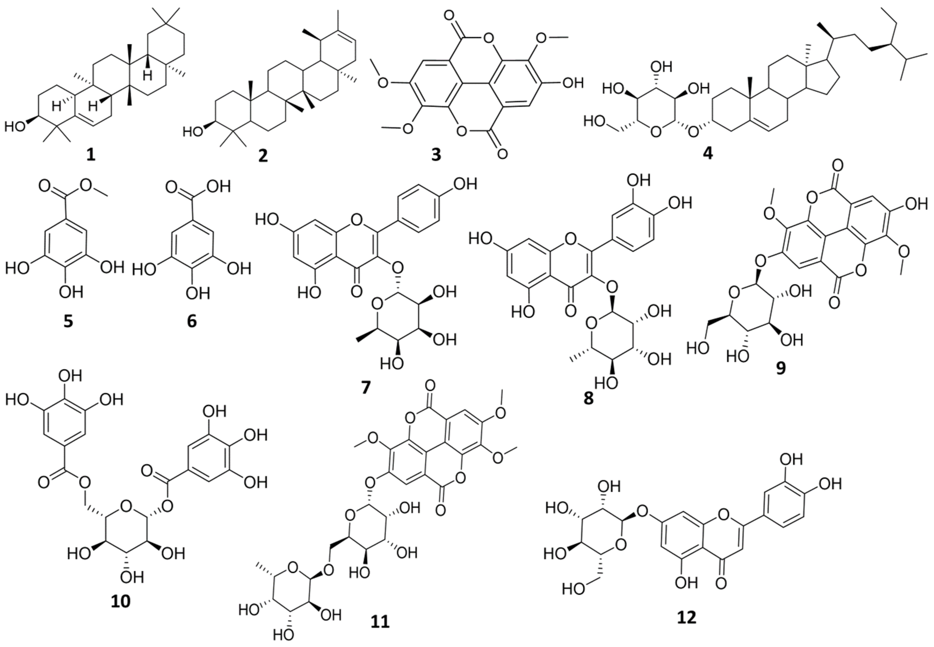Plants 11 00173 g001