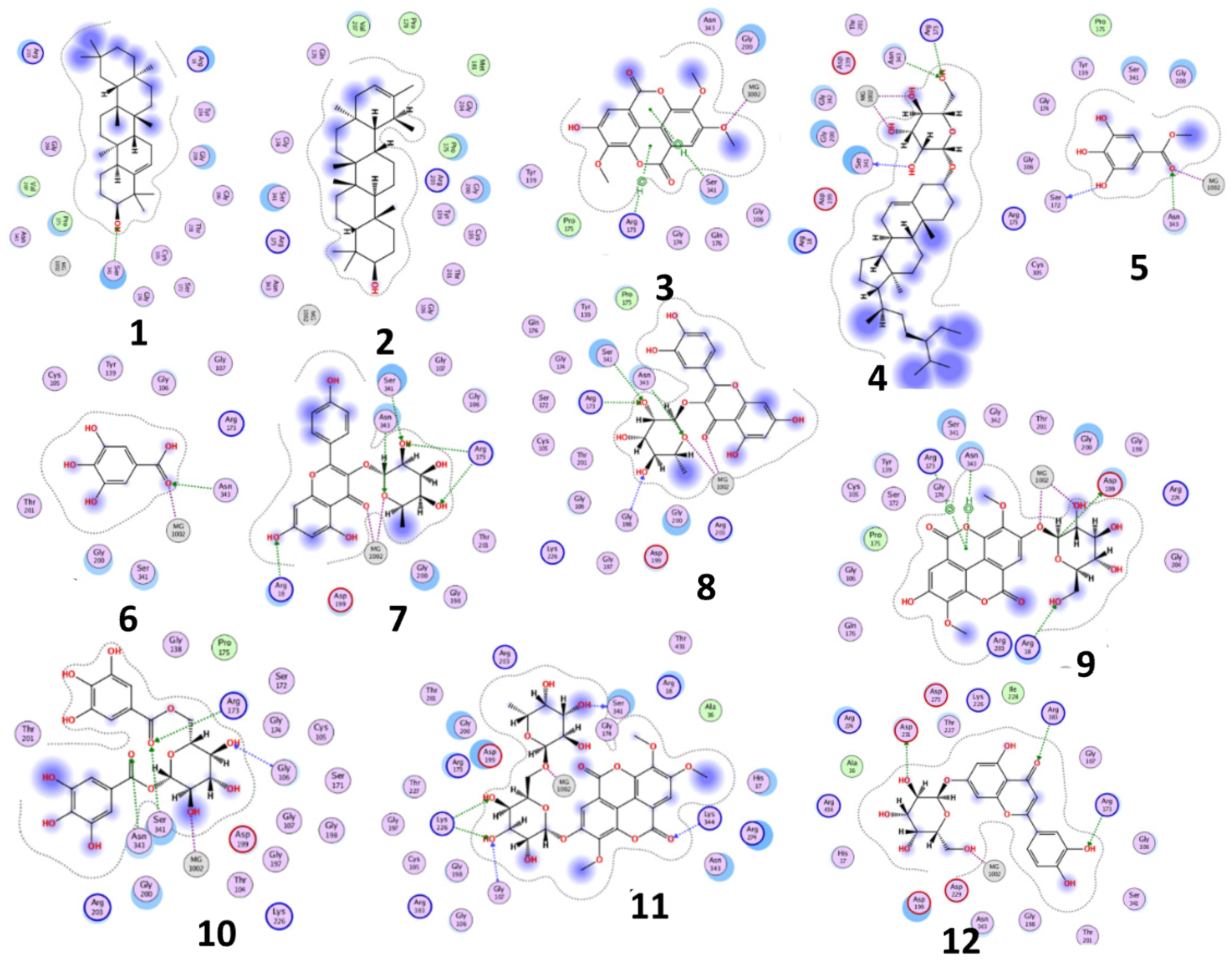 Plants 11 00173 g002