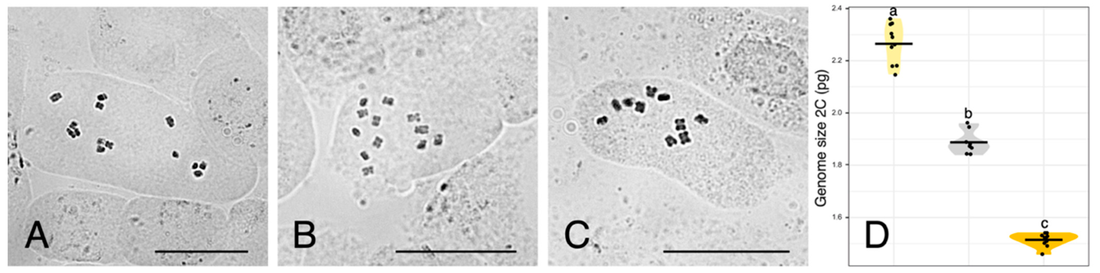 Plants 11 00182 g002 Plants 11 00182 g002