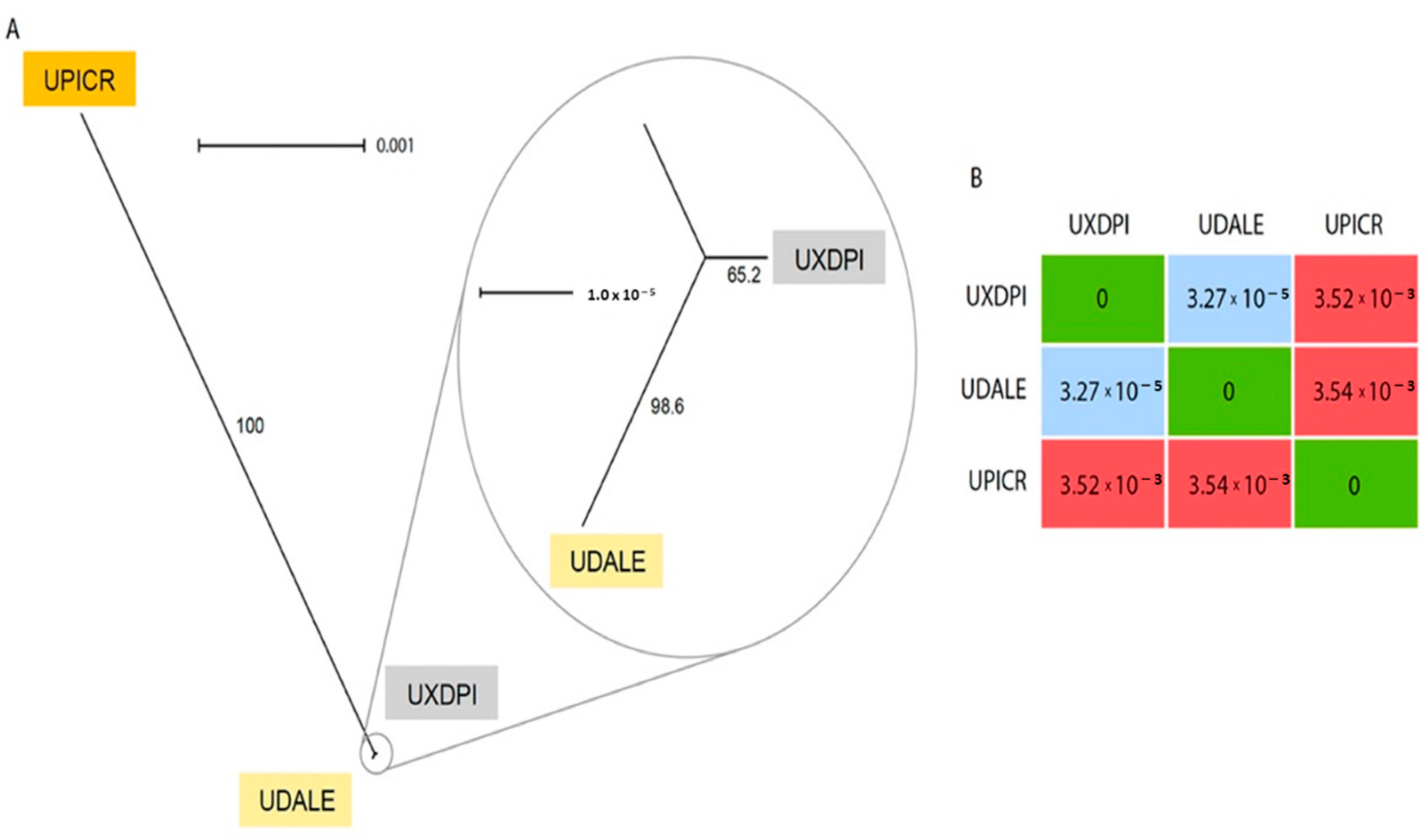 Plants 11 00182 g004 Plants 11 00182 g004