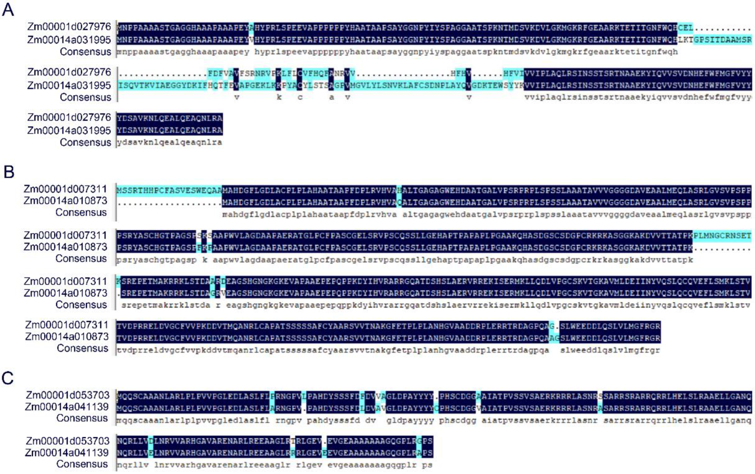 Plants 11 00214 g006 Plants 11 00214 g006
