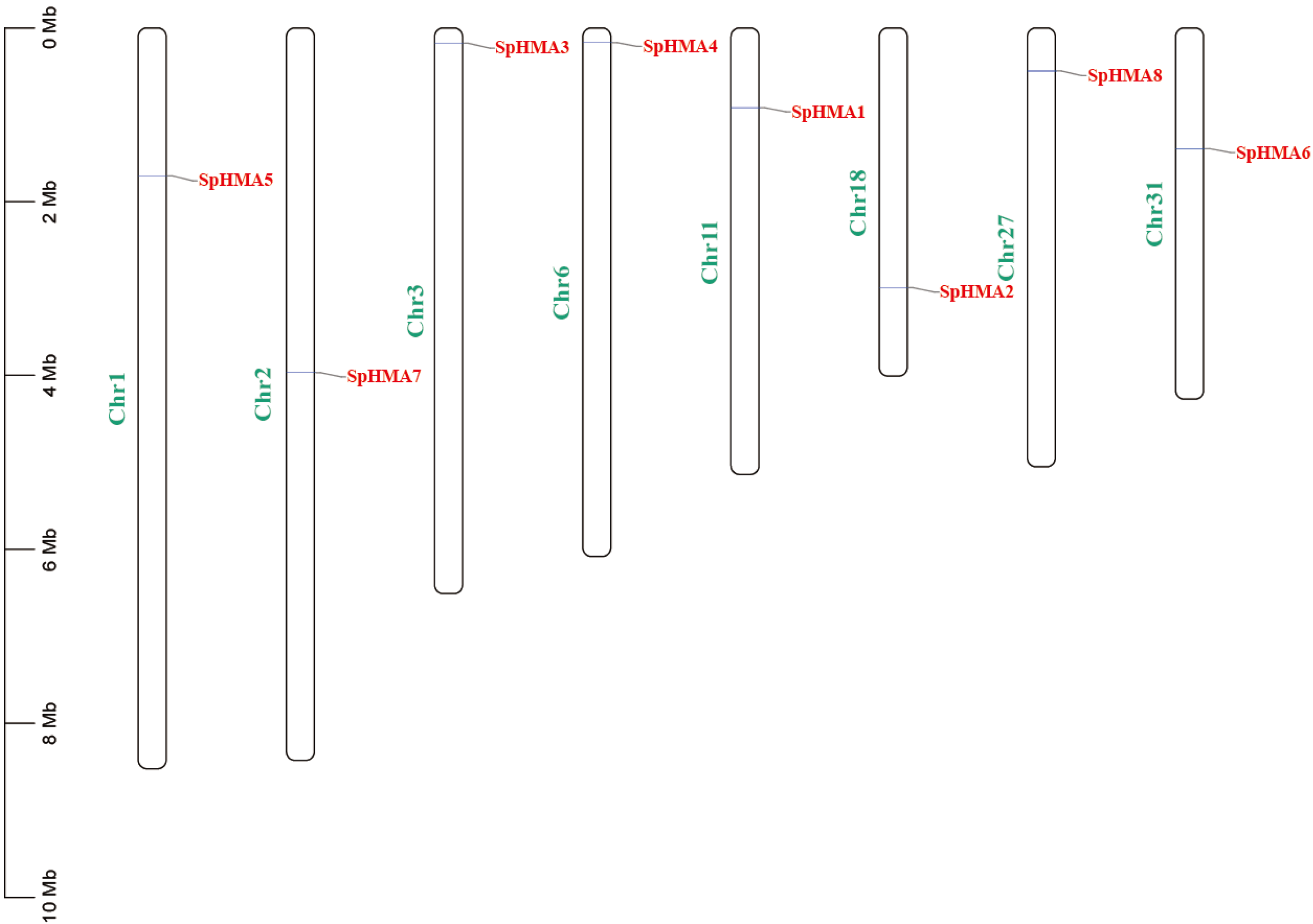 Plants 11 00215 g001
