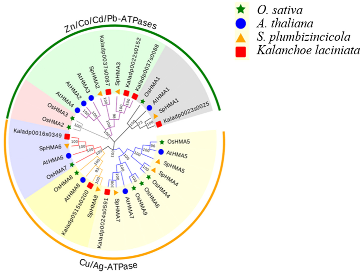 Plants 11 00215 g002