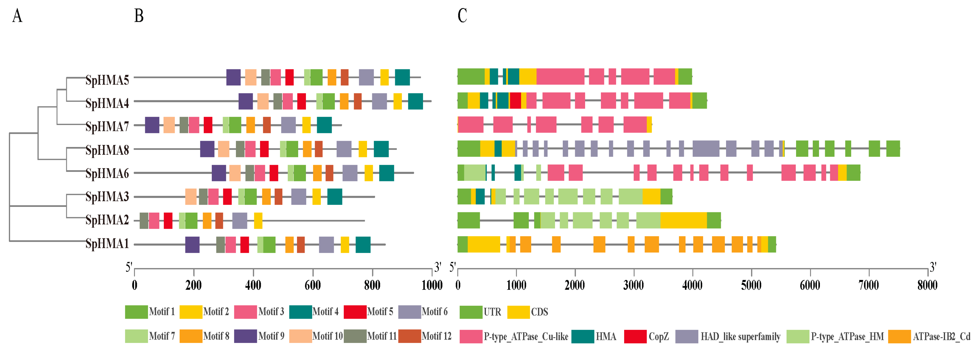 Plants 11 00215 g003