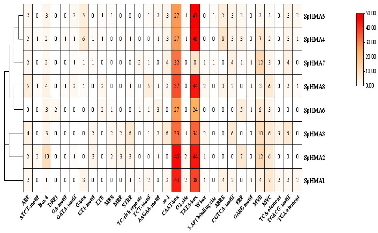 Plants 11 00215 g004