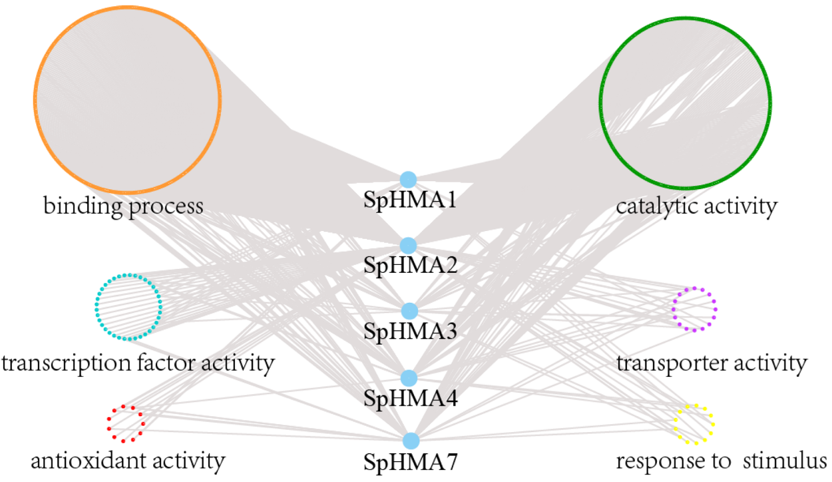 Plants 11 00215 g005