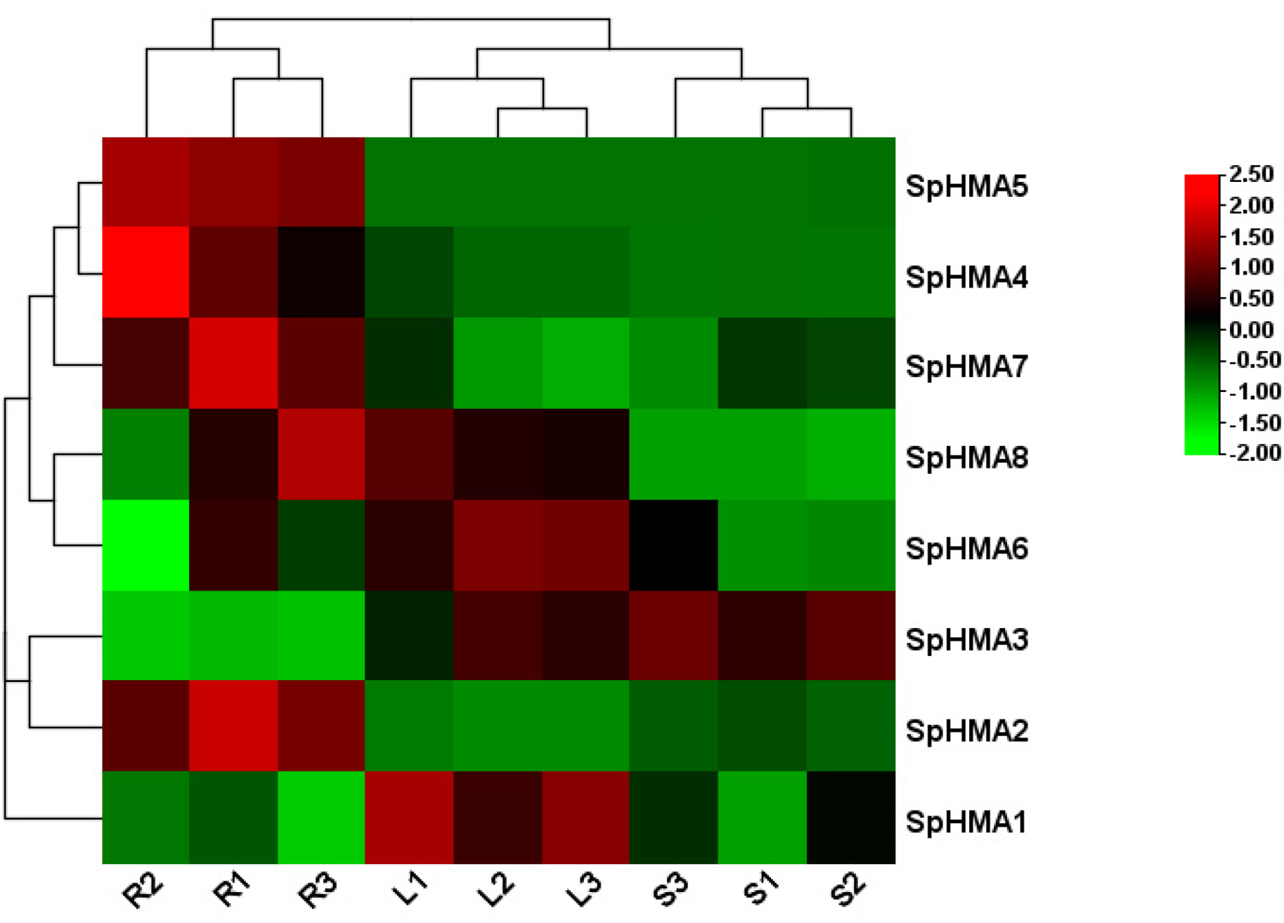 Plants 11 00215 g006