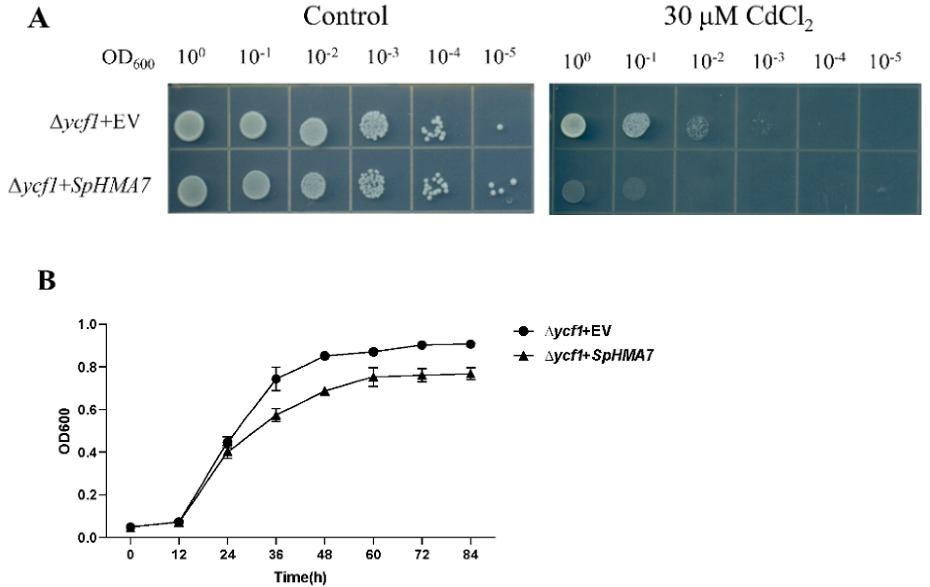 Plants 11 00215 g008