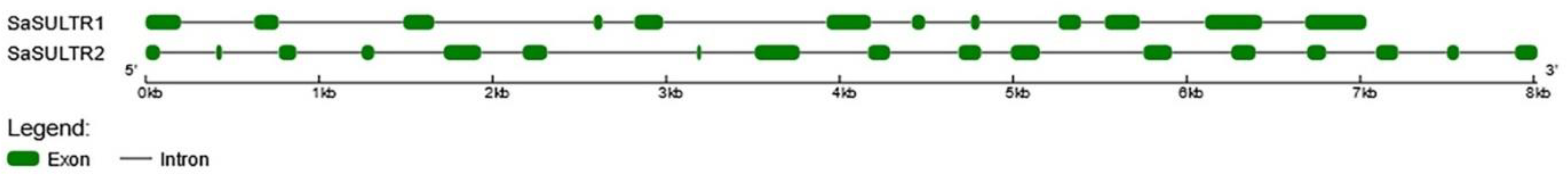 Plants 11 00223 g001