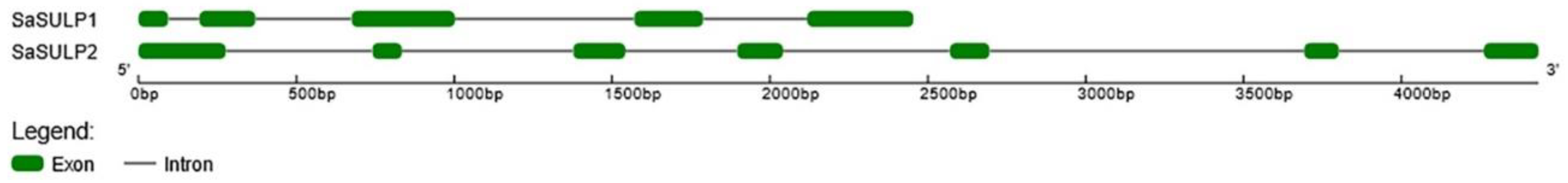 Plants 11 00223 g002