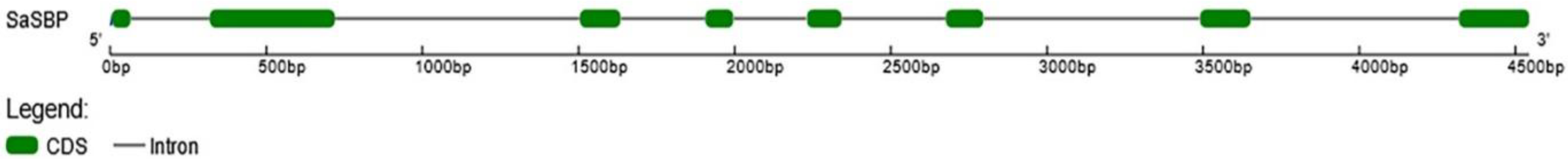 Plants 11 00223 g004