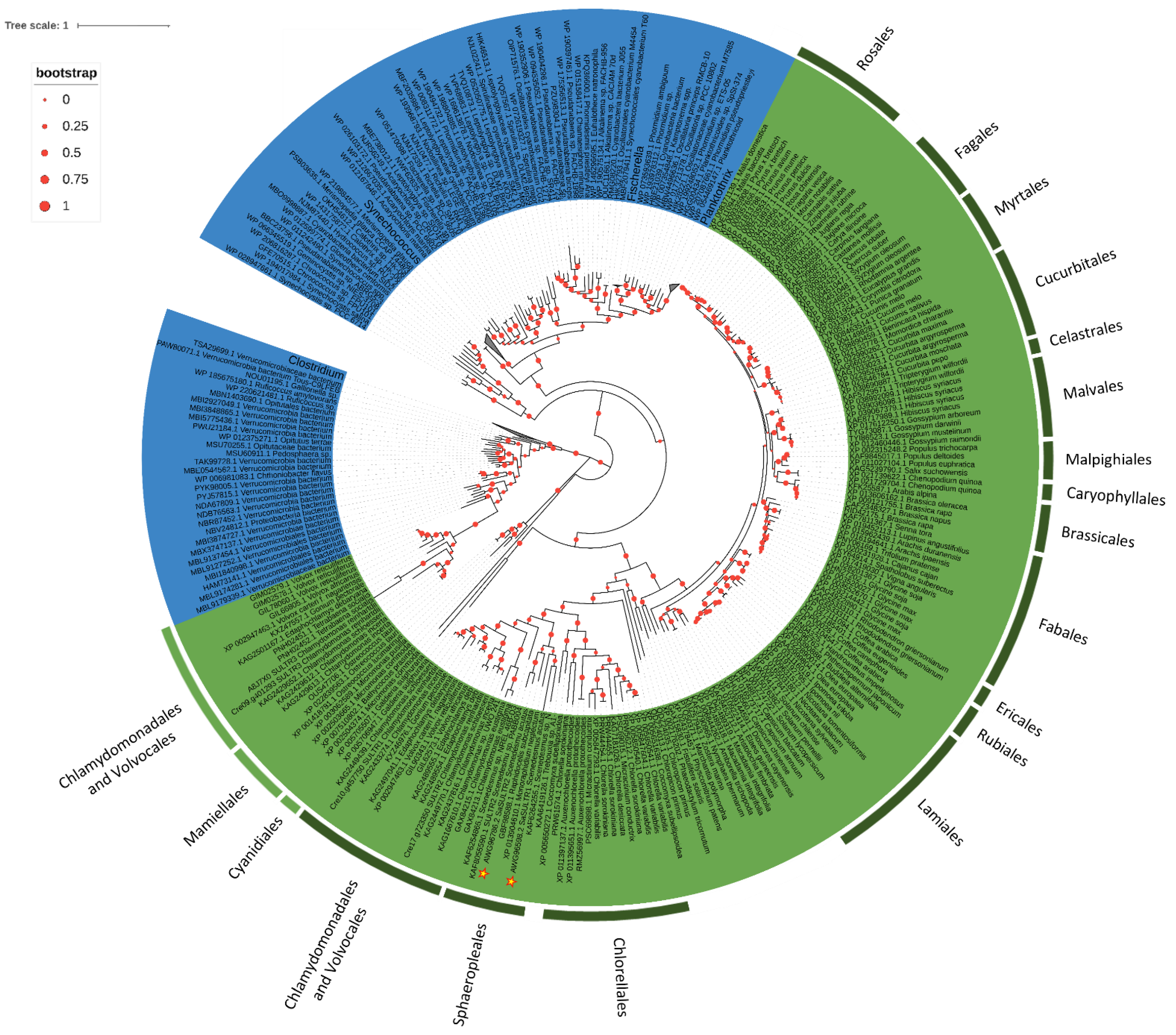 Plants 11 00223 g005
