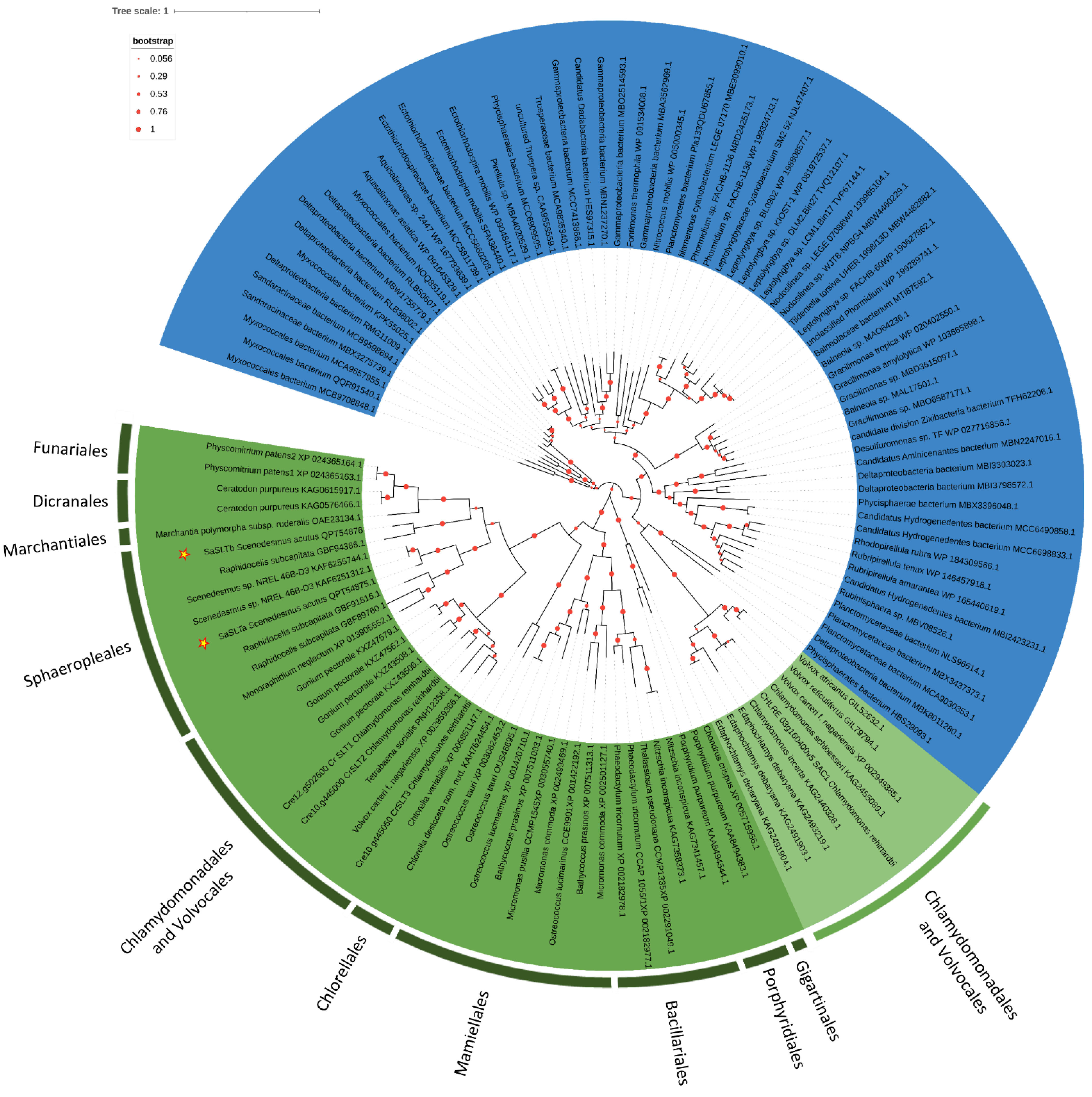 Plants 11 00223 g006