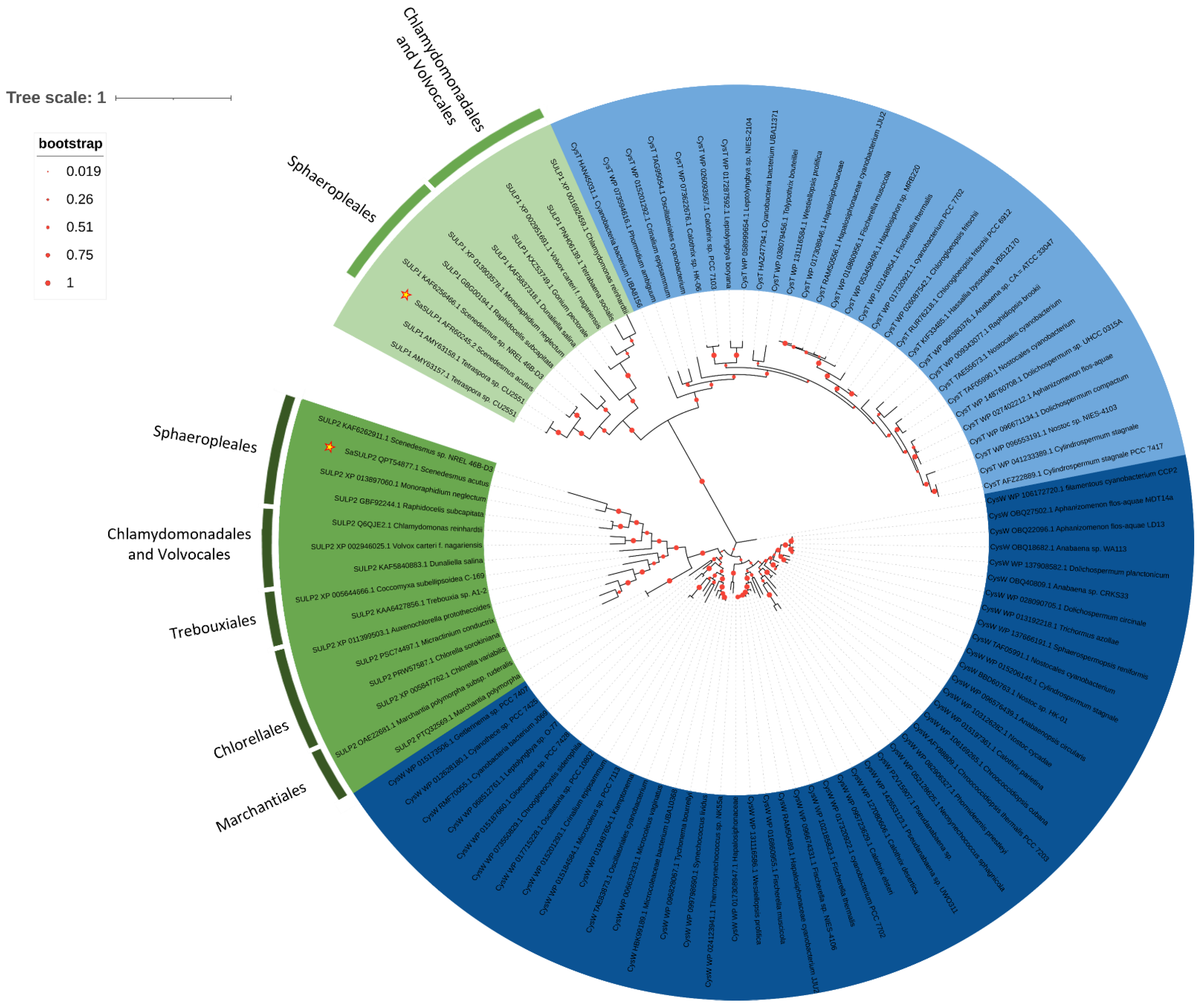 Plants 11 00223 g007