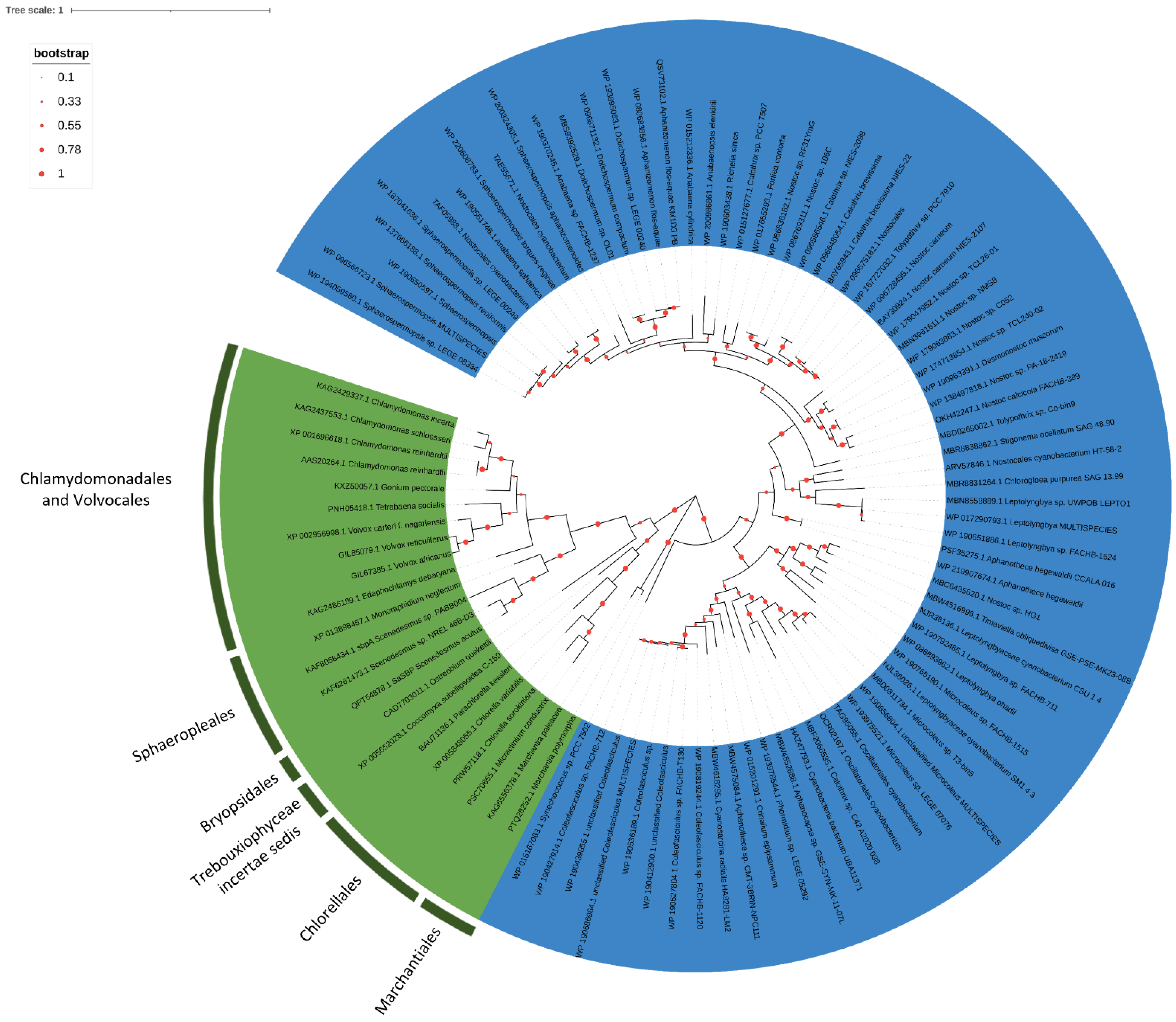 Plants 11 00223 g009