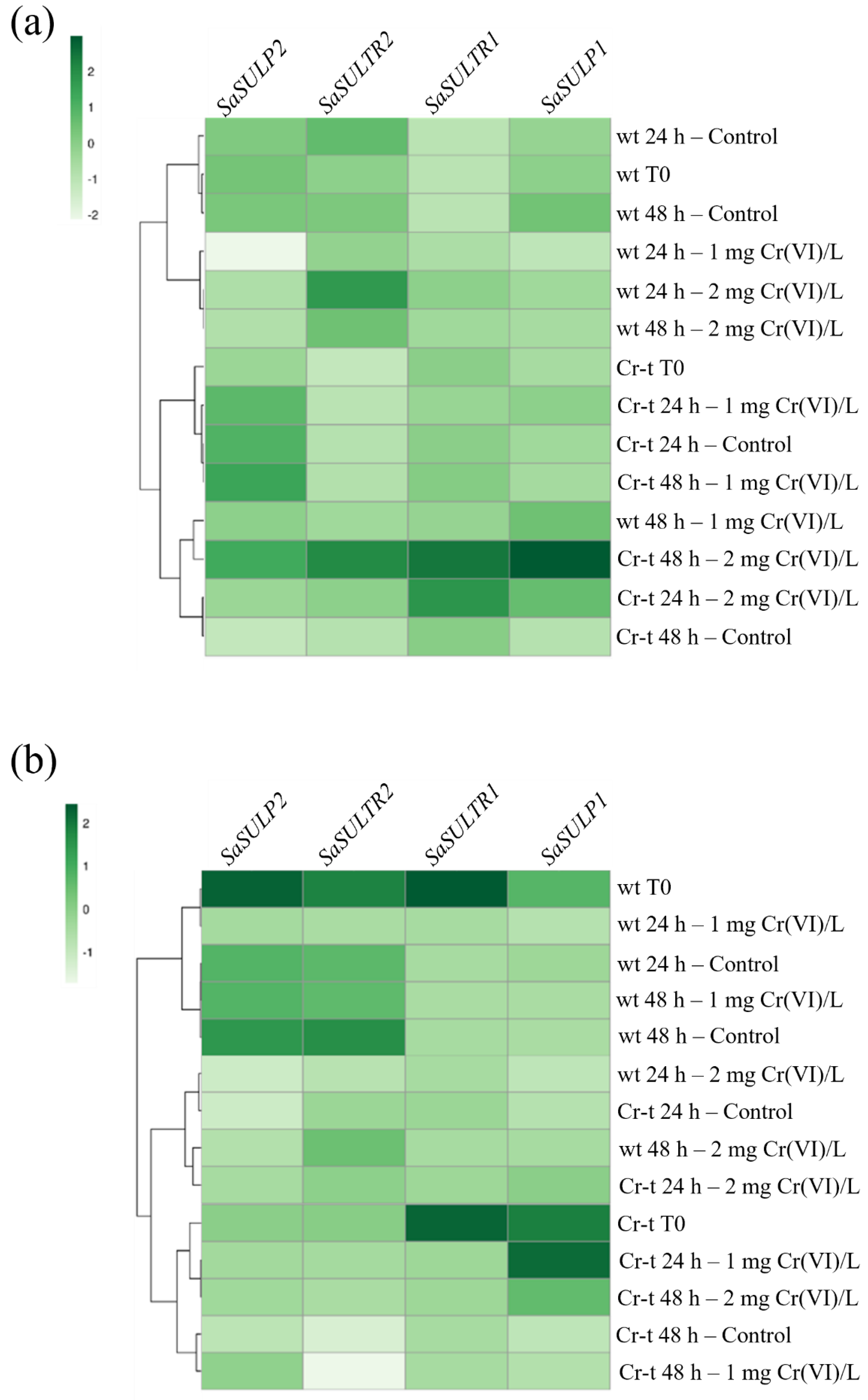 Plants 11 00223 g012