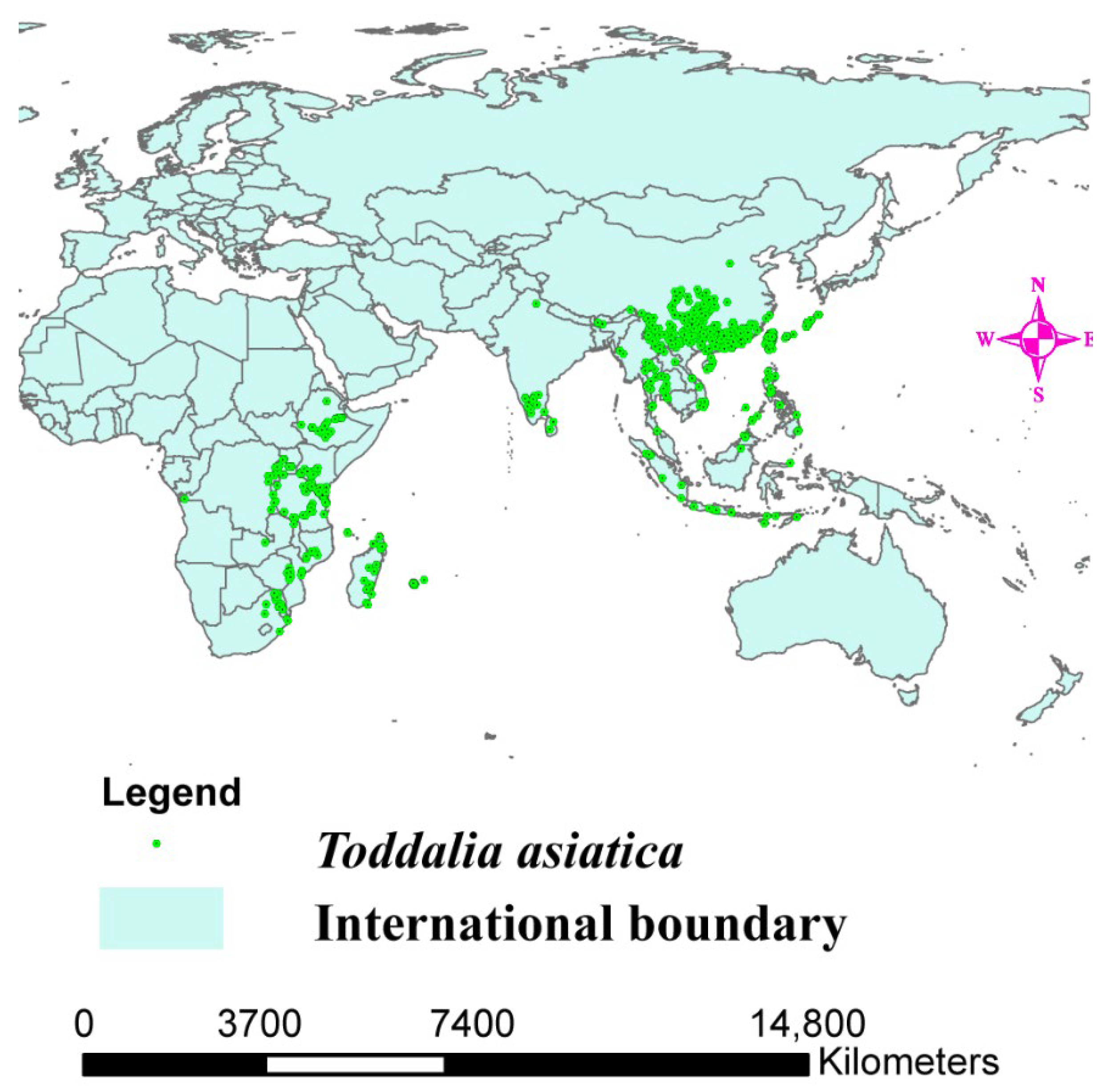 Plants 11 00231 g001