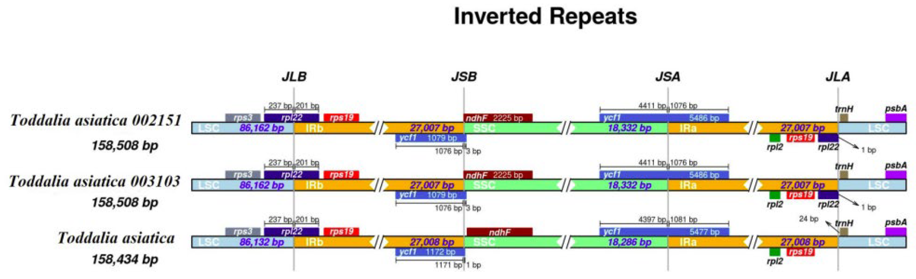 Plants 11 00231 g003