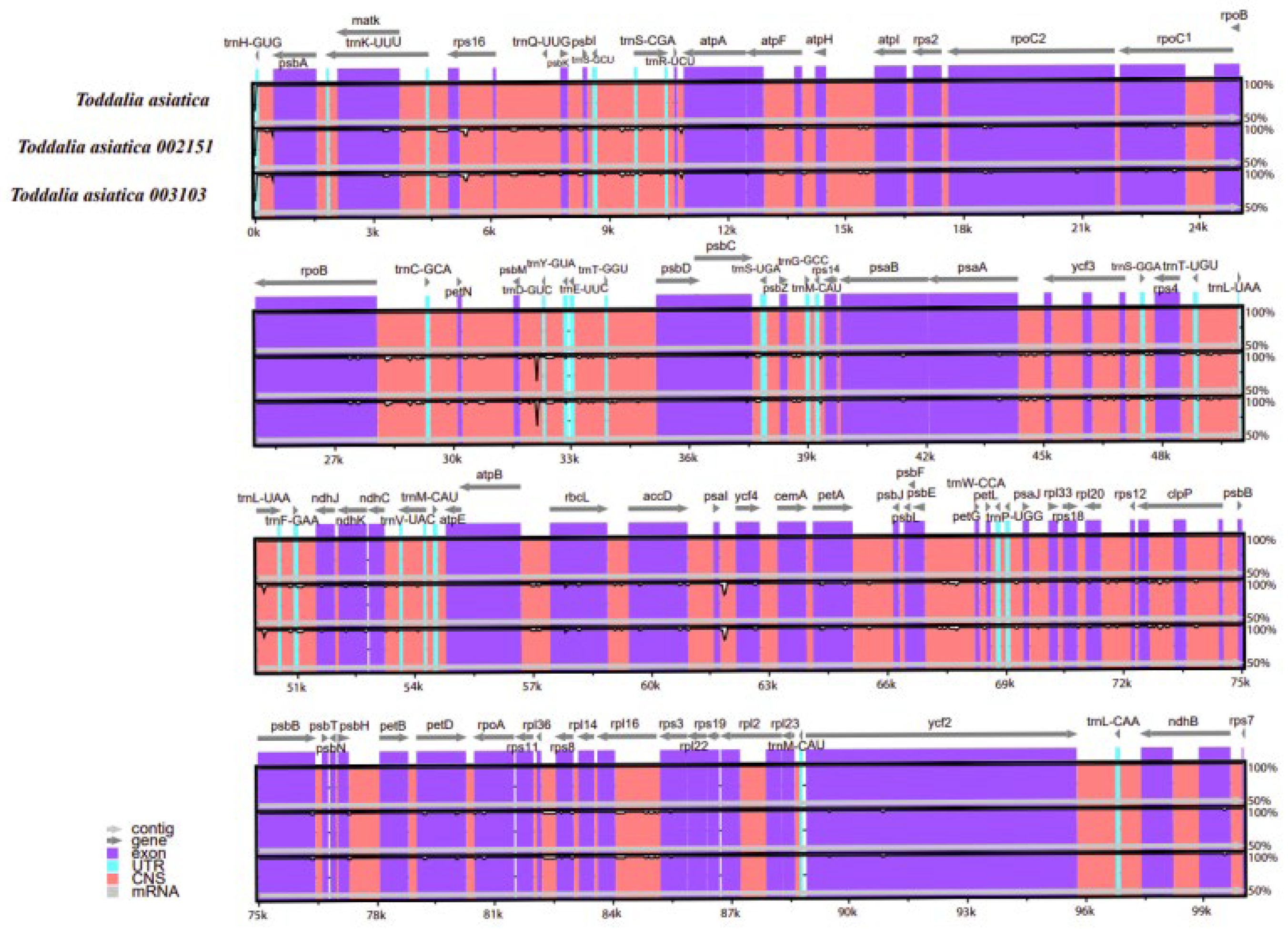 Plants 11 00231 g006