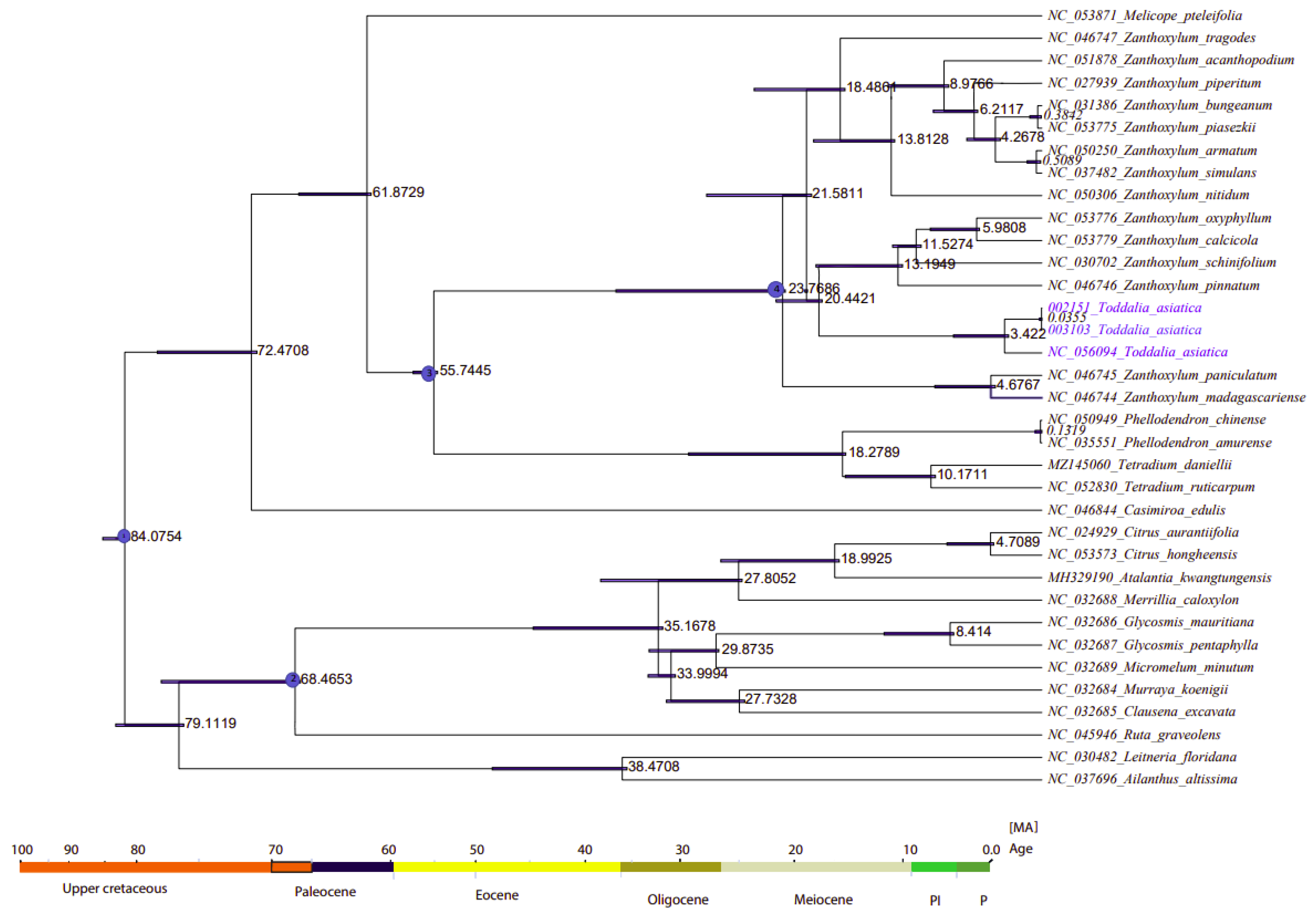 Plants 11 00231 g009