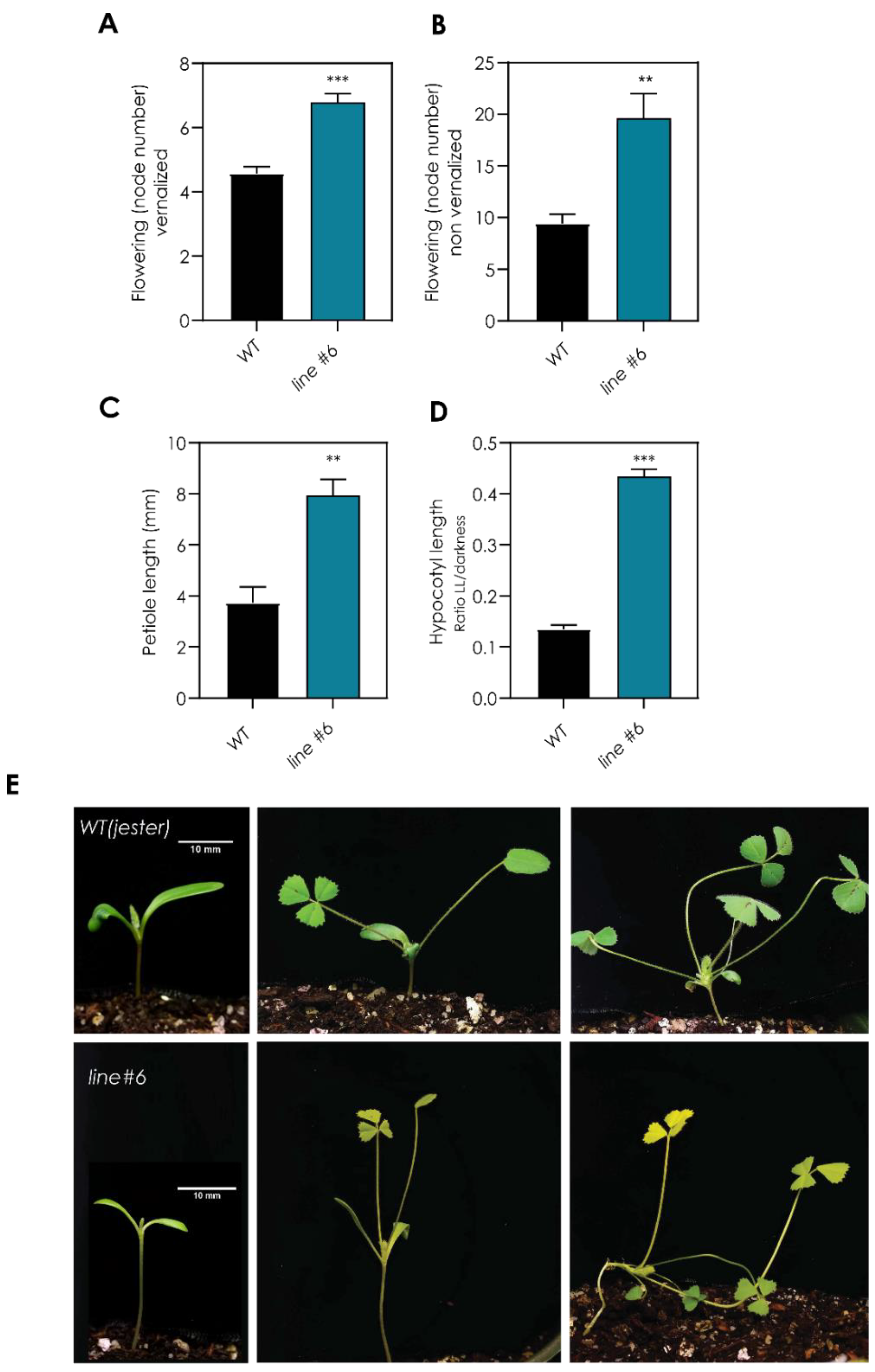 Plants 11 00239 g001
