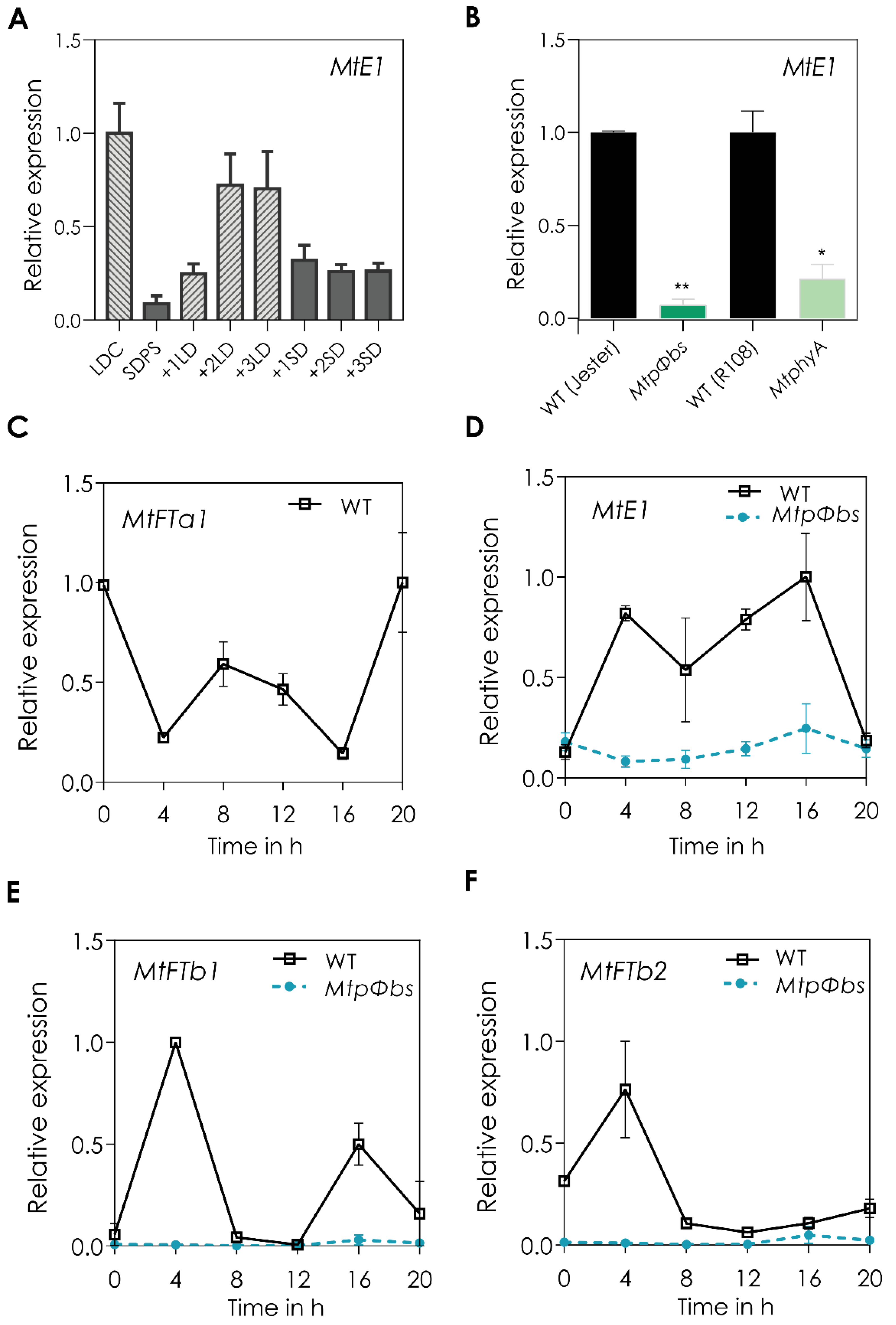 Plants 11 00239 g004