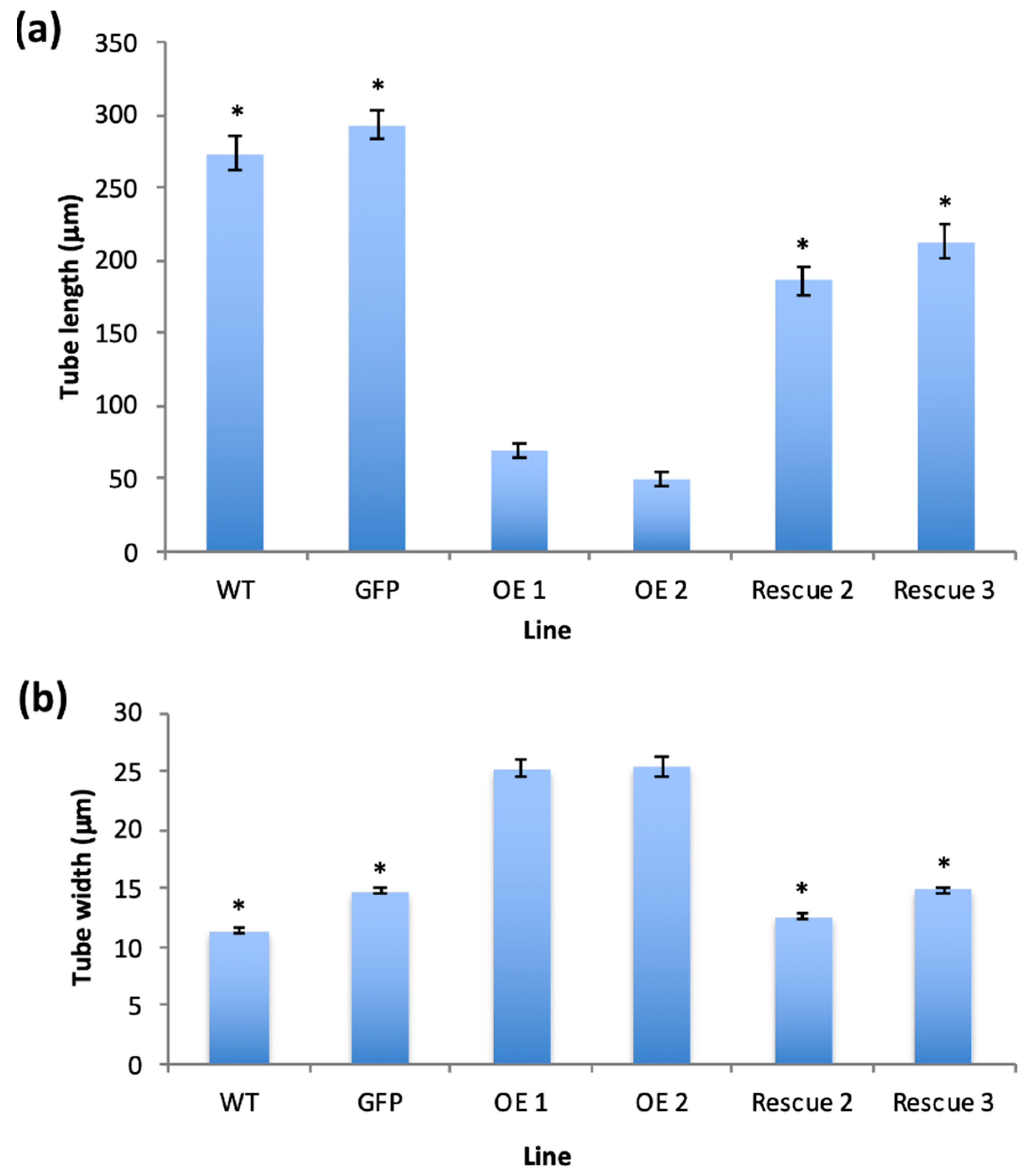 Plants 11 00254 g004 Plants 11 00254 g004
