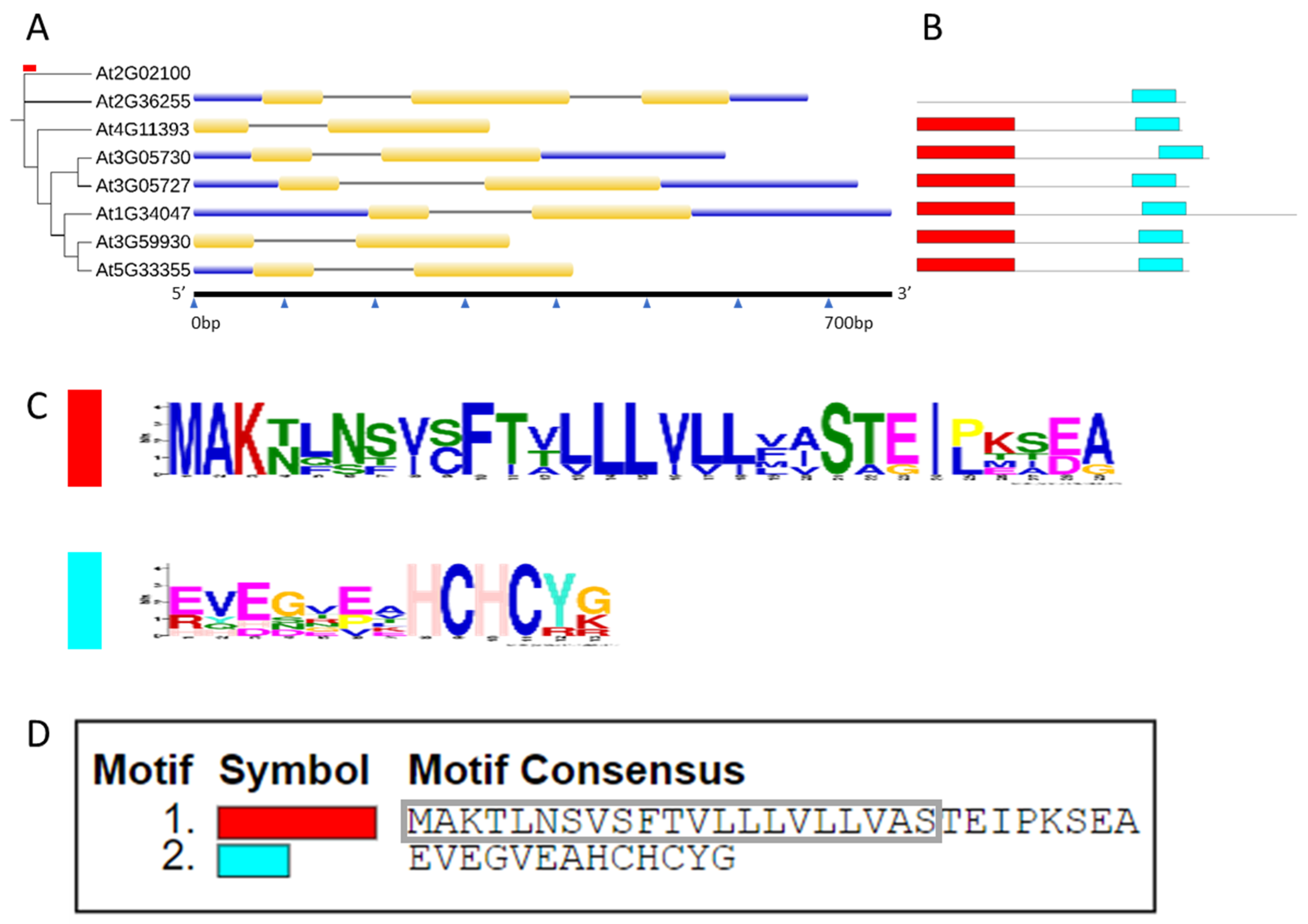Plants 11 00280 g004 Plants 11 00280 g004