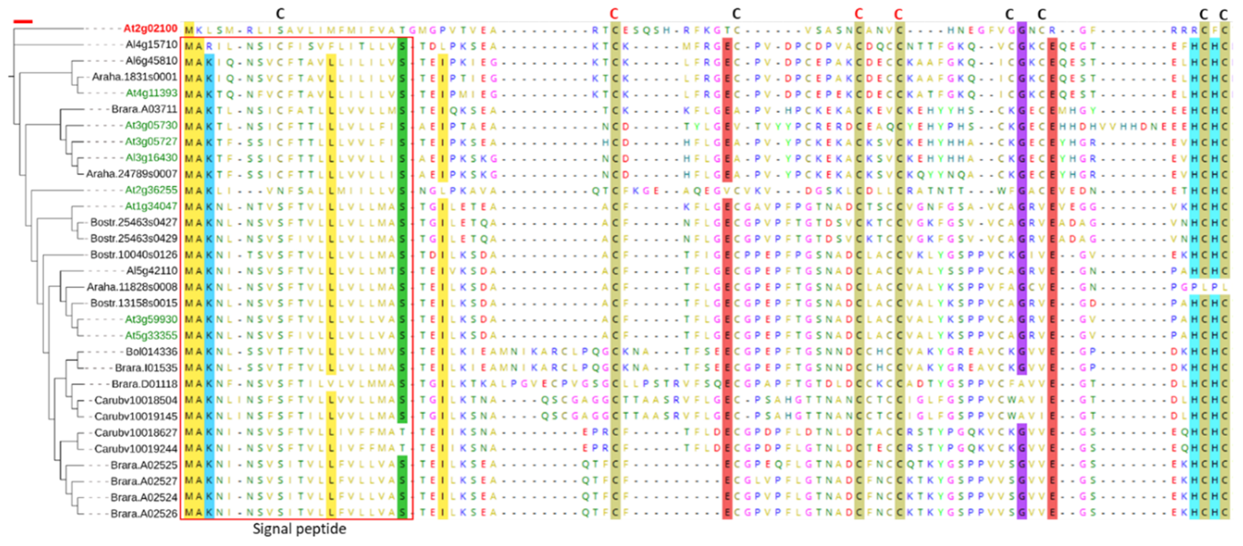 Plants 11 00280 g005 Plants 11 00280 g005