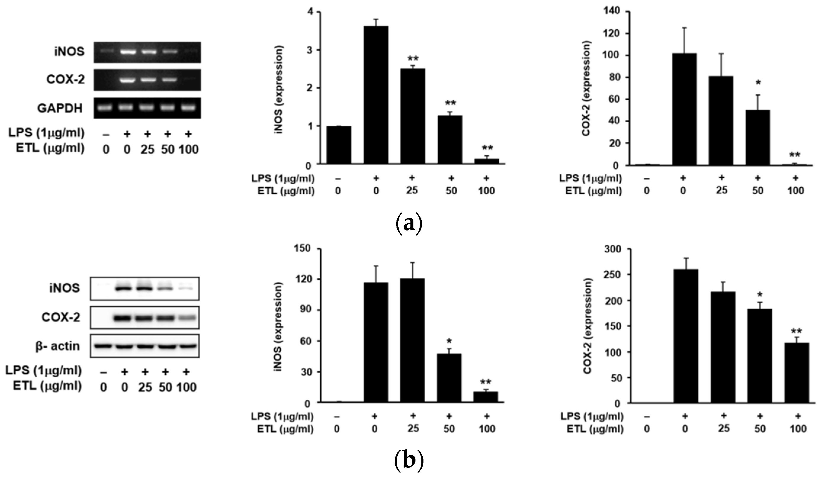 Plants 11 00284 g003