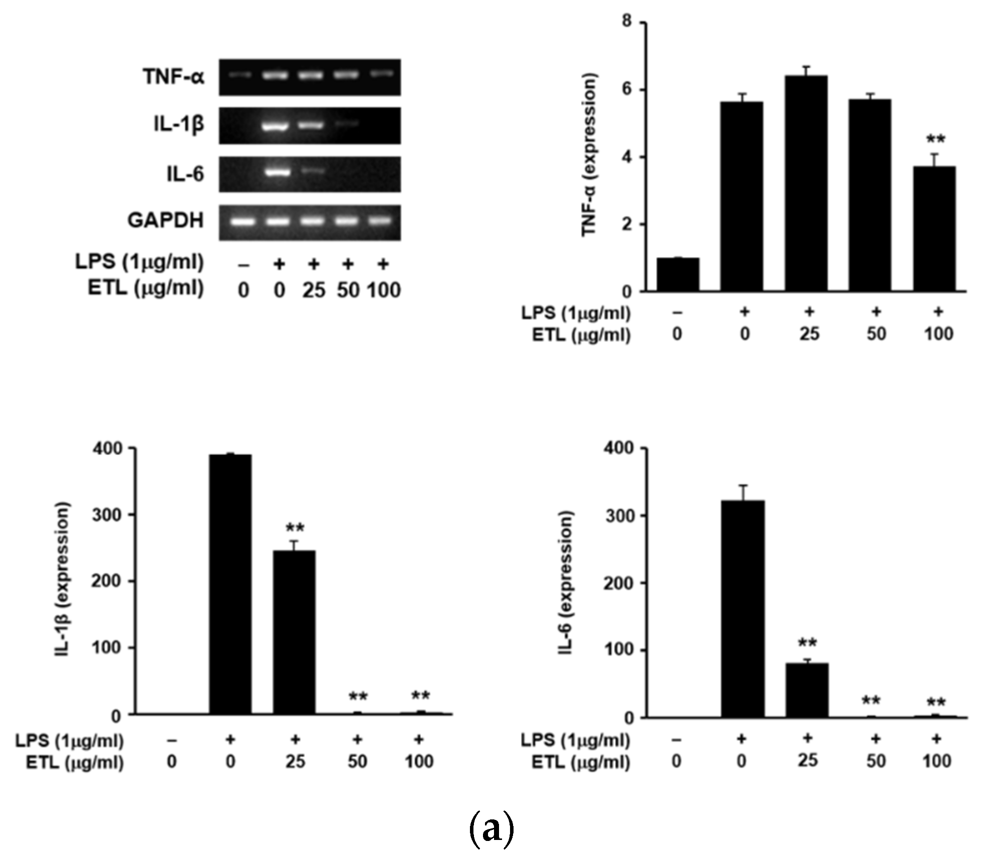 Plants 11 00284 g005a