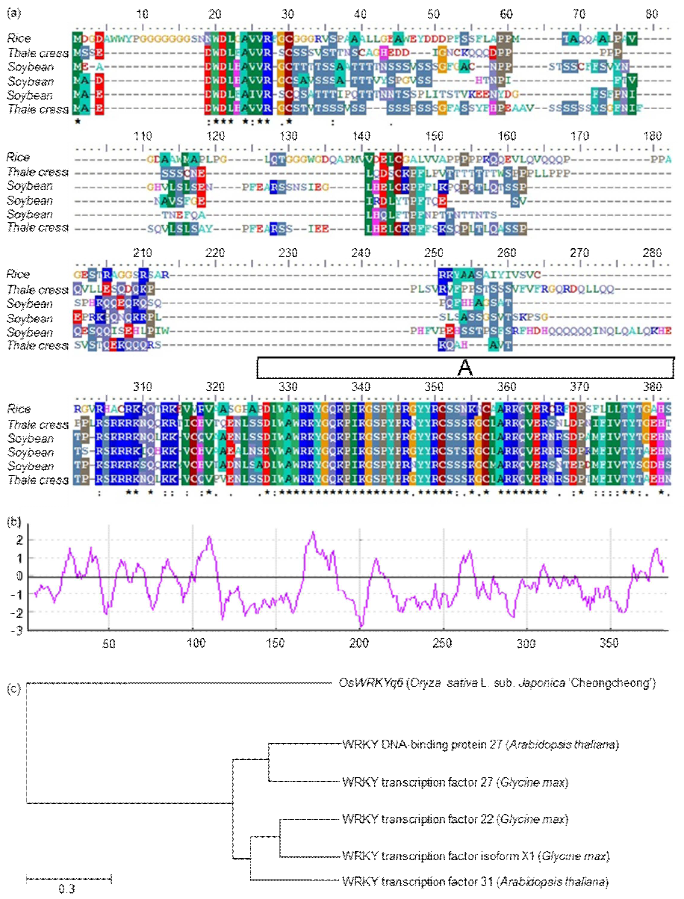 Plants 11 00287 g004