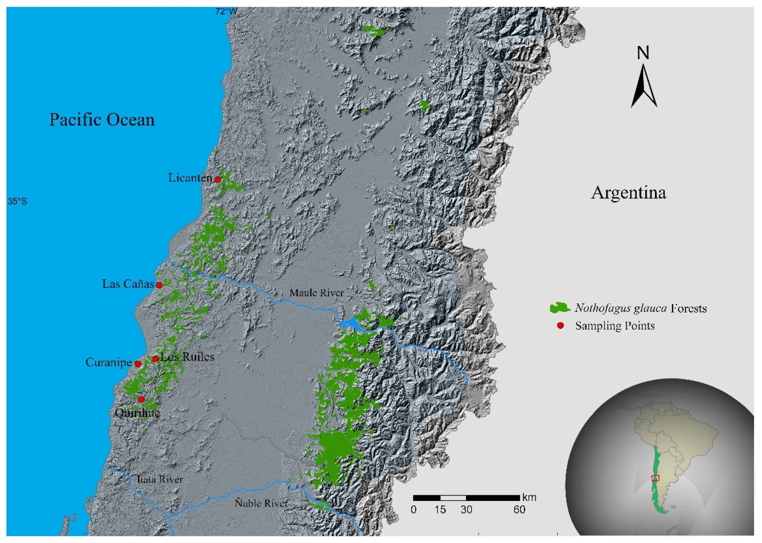 Plants 11 00297 g003