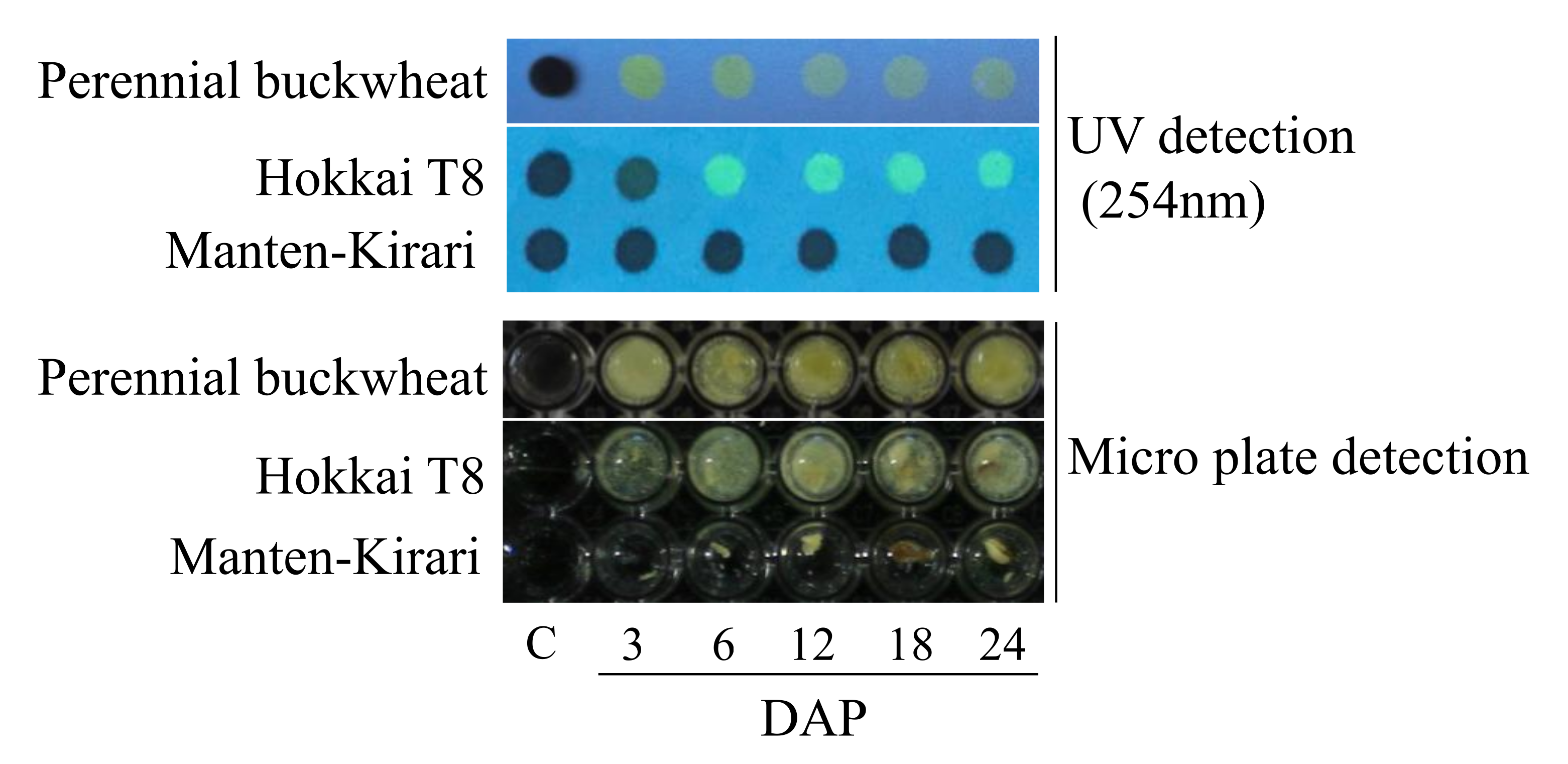 Plants 11 00320 g002